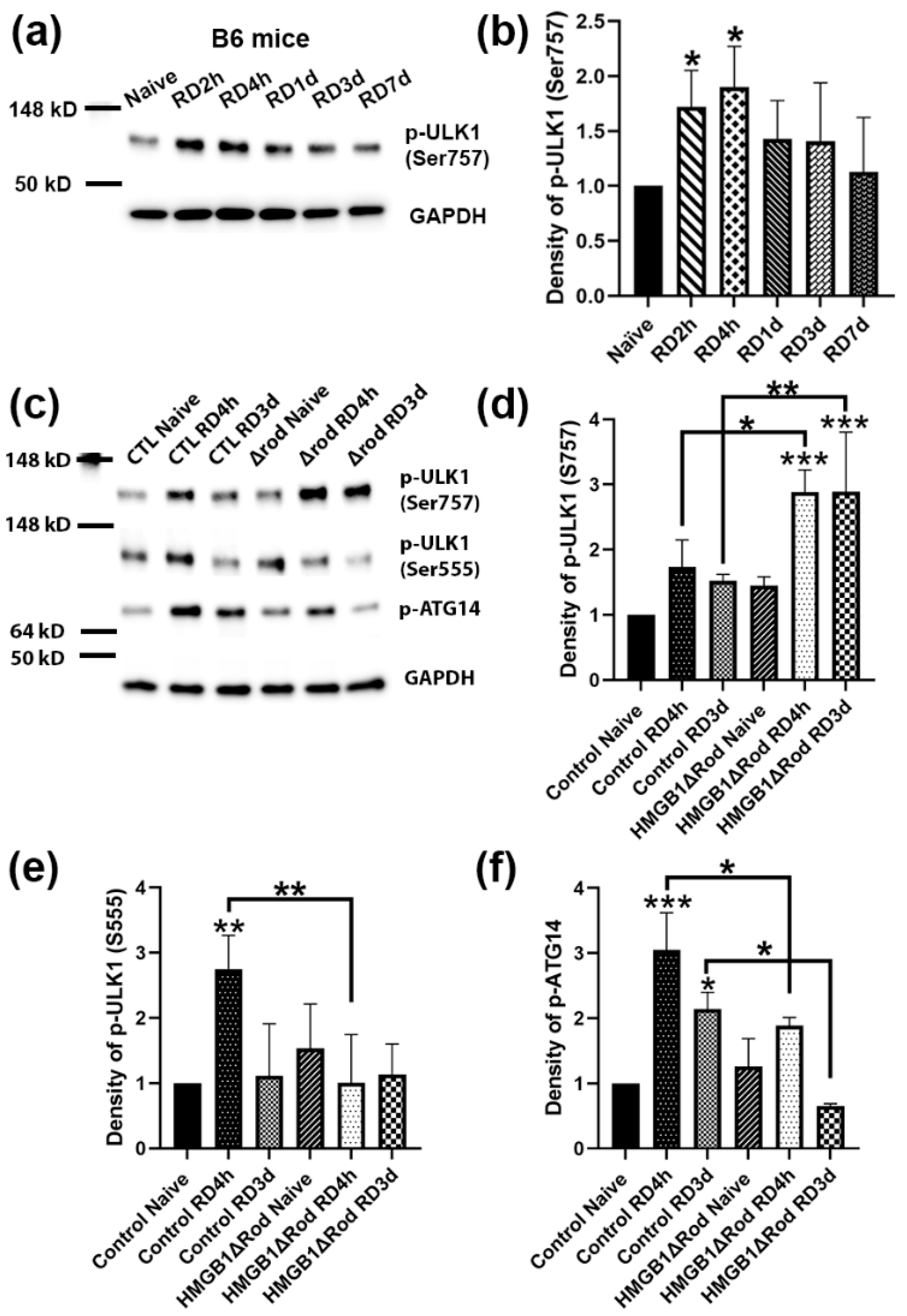 Cells 10 02010 g003 550