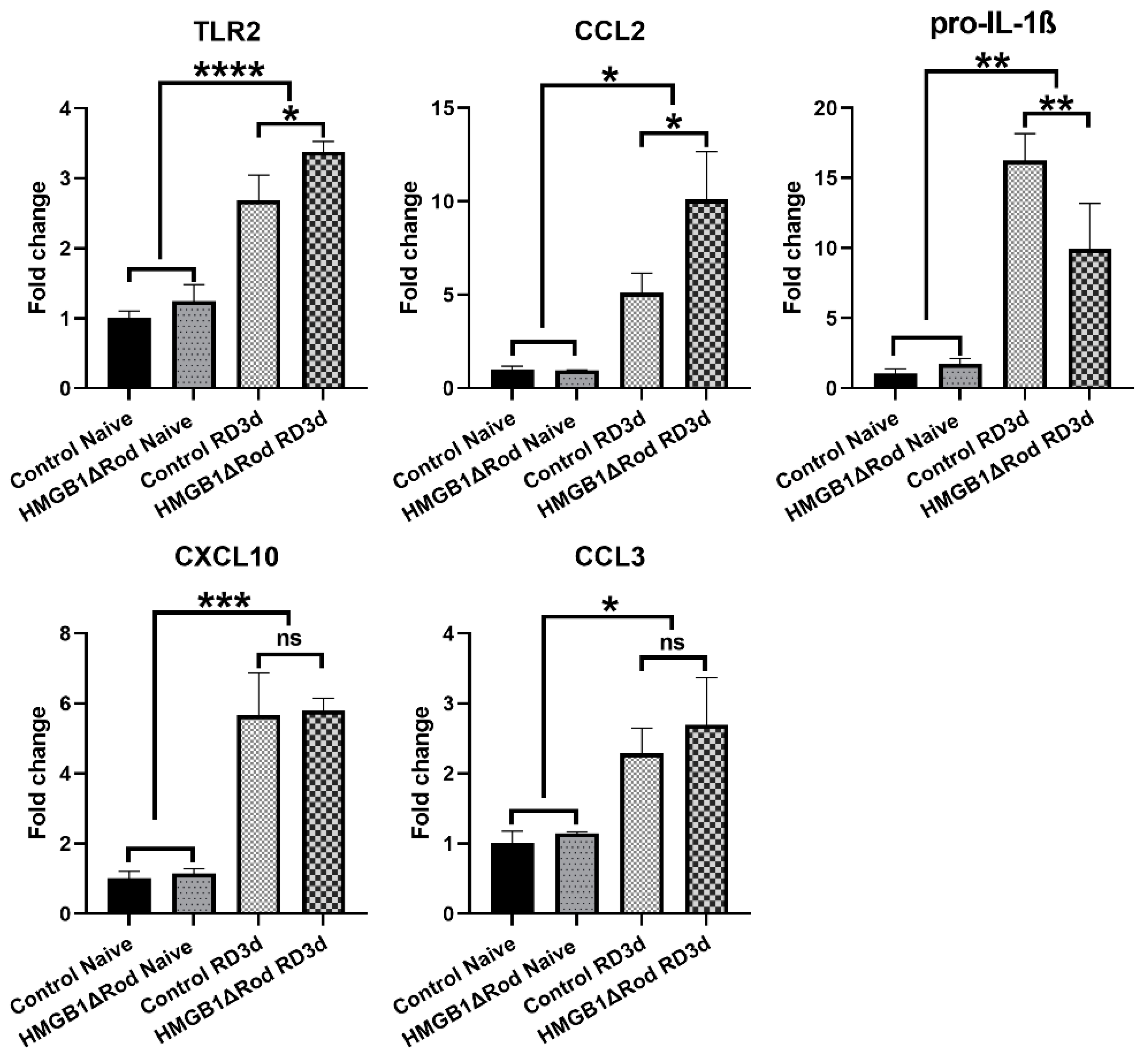 Cells 10 02010 g004 550
