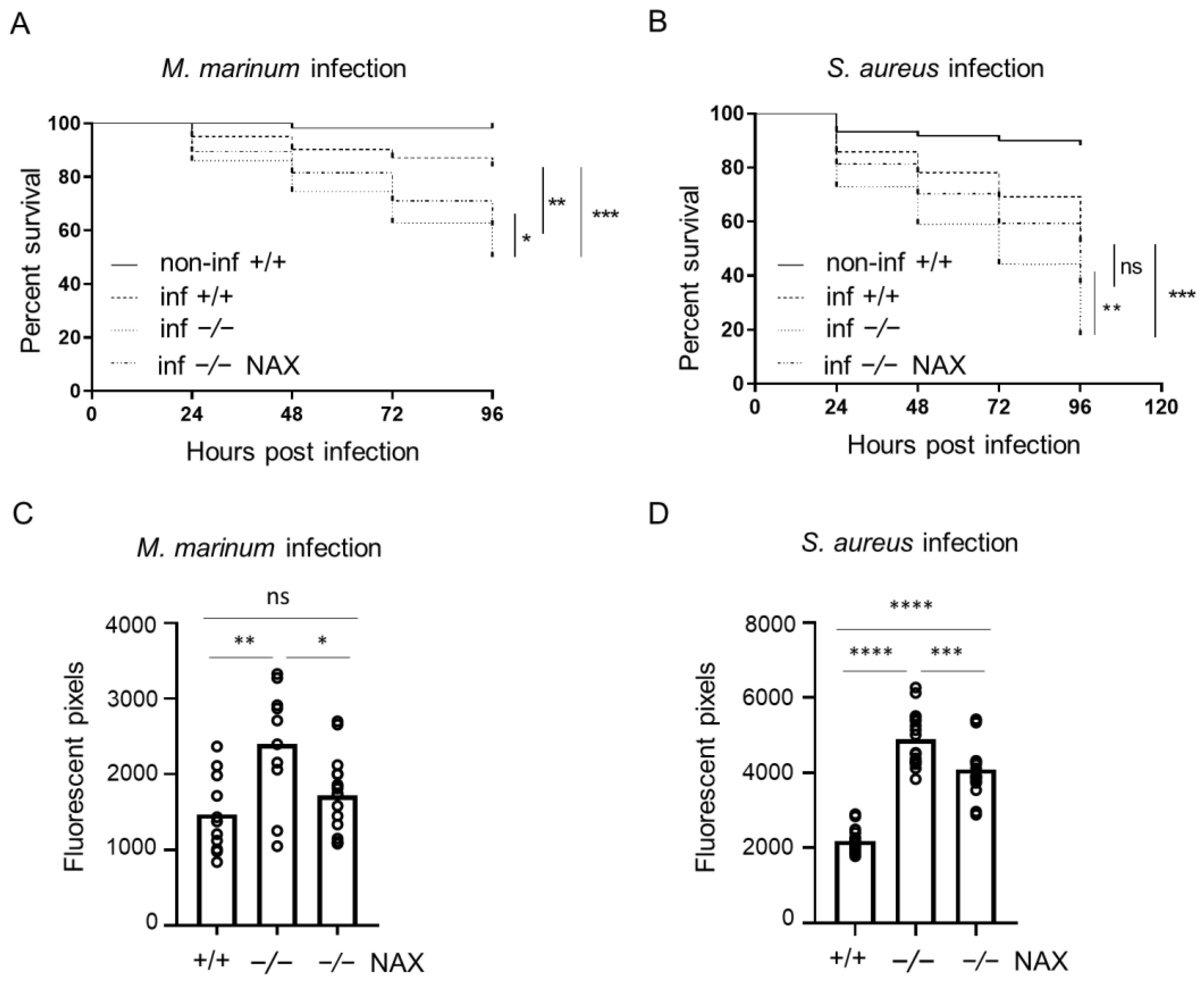 Cells 10 02011 g002 Cells 10 02011 g002