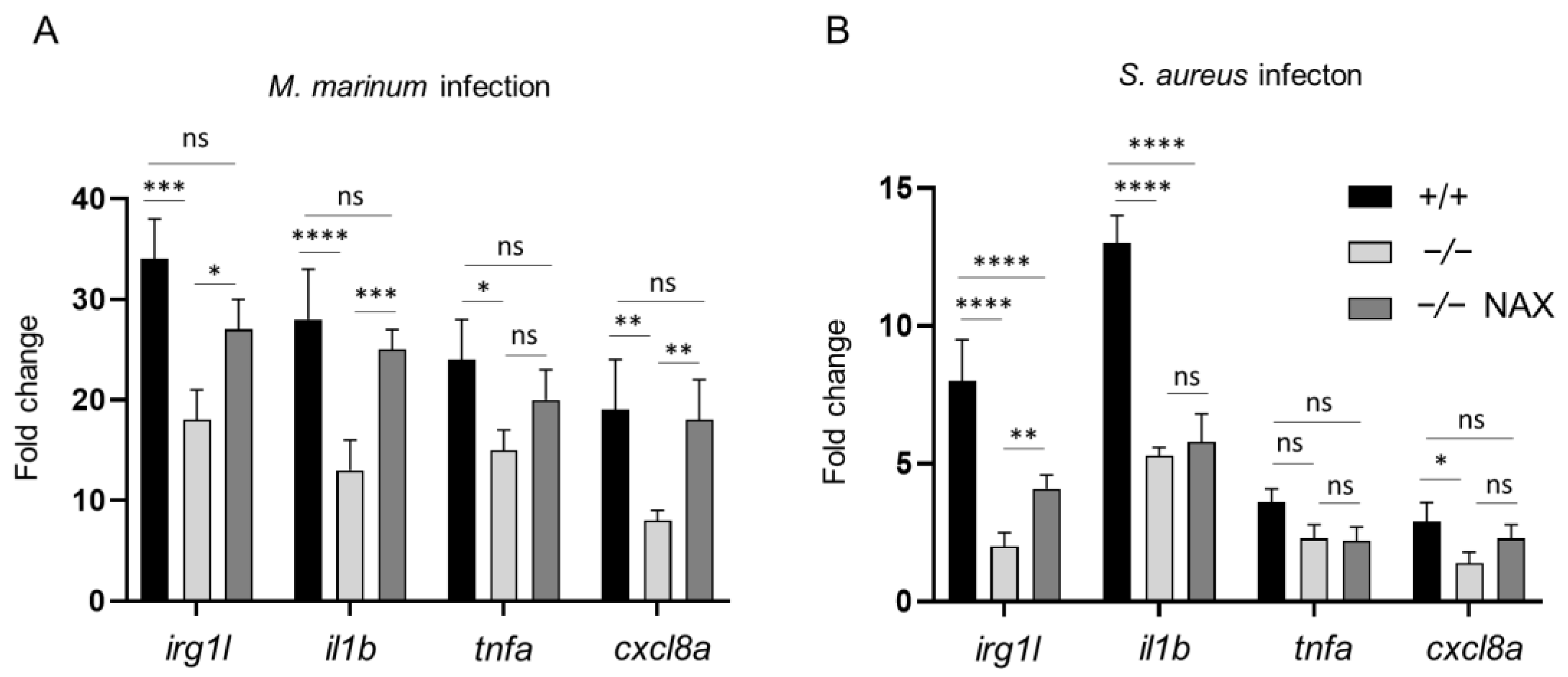 Cells 10 02011 g003 Cells 10 02011 g003