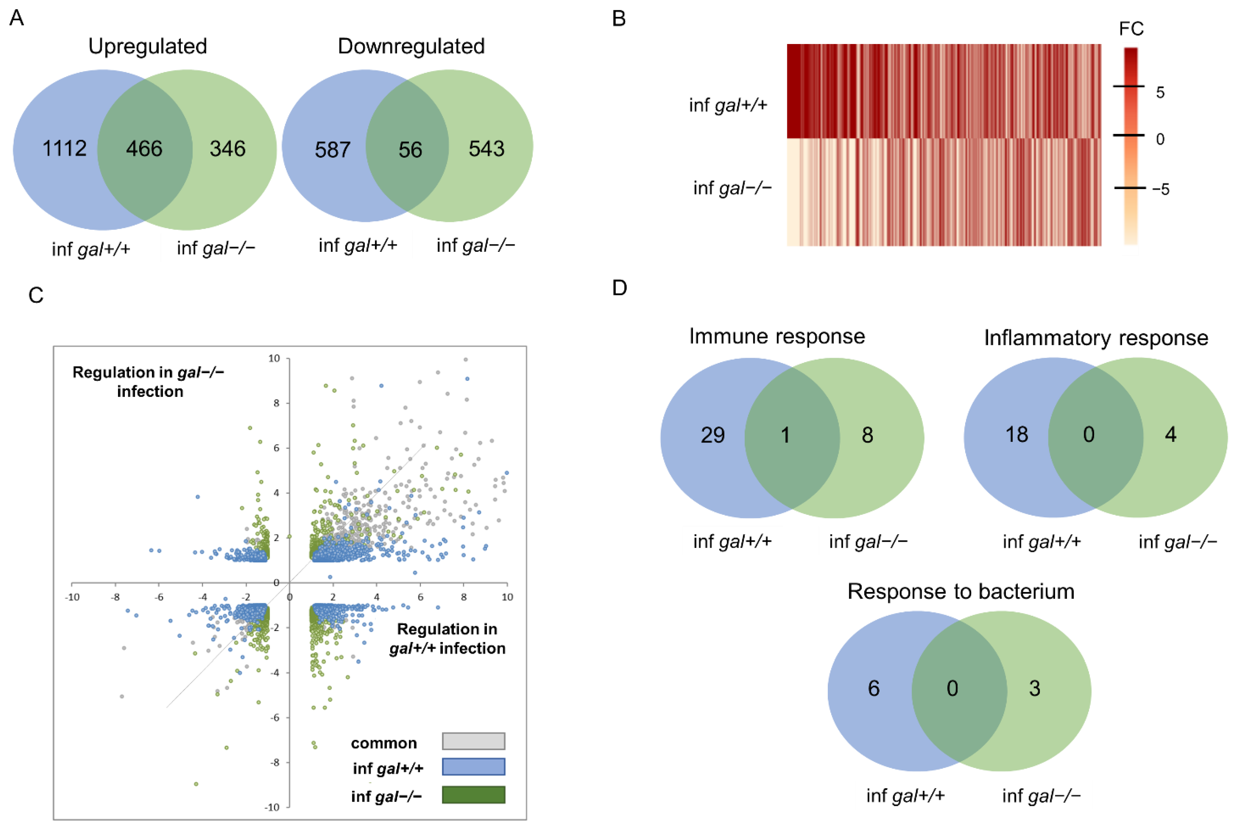 Cells 10 02011 g004 Cells 10 02011 g004