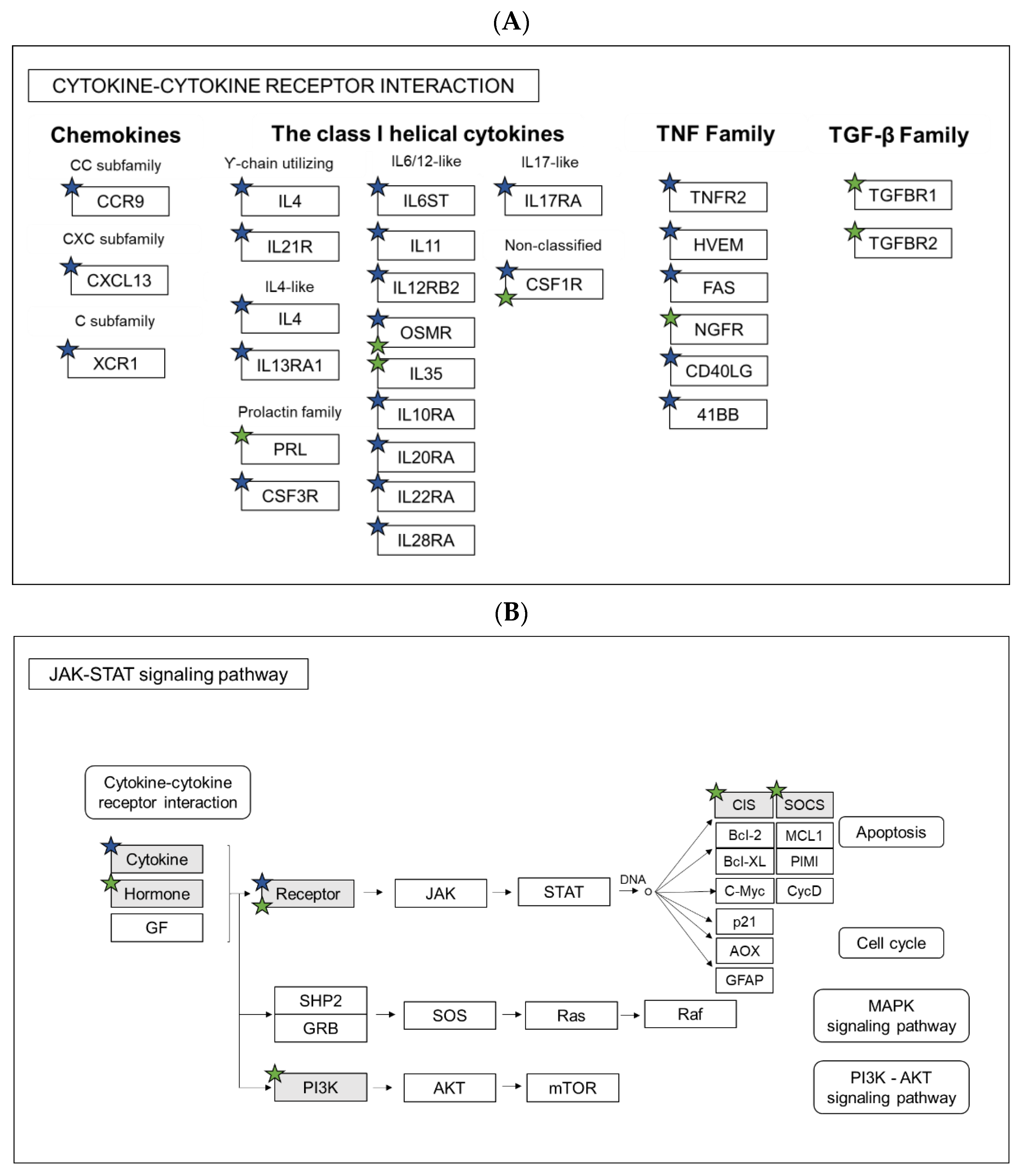 Cells 10 02011 g005 Cells 10 02011 g005