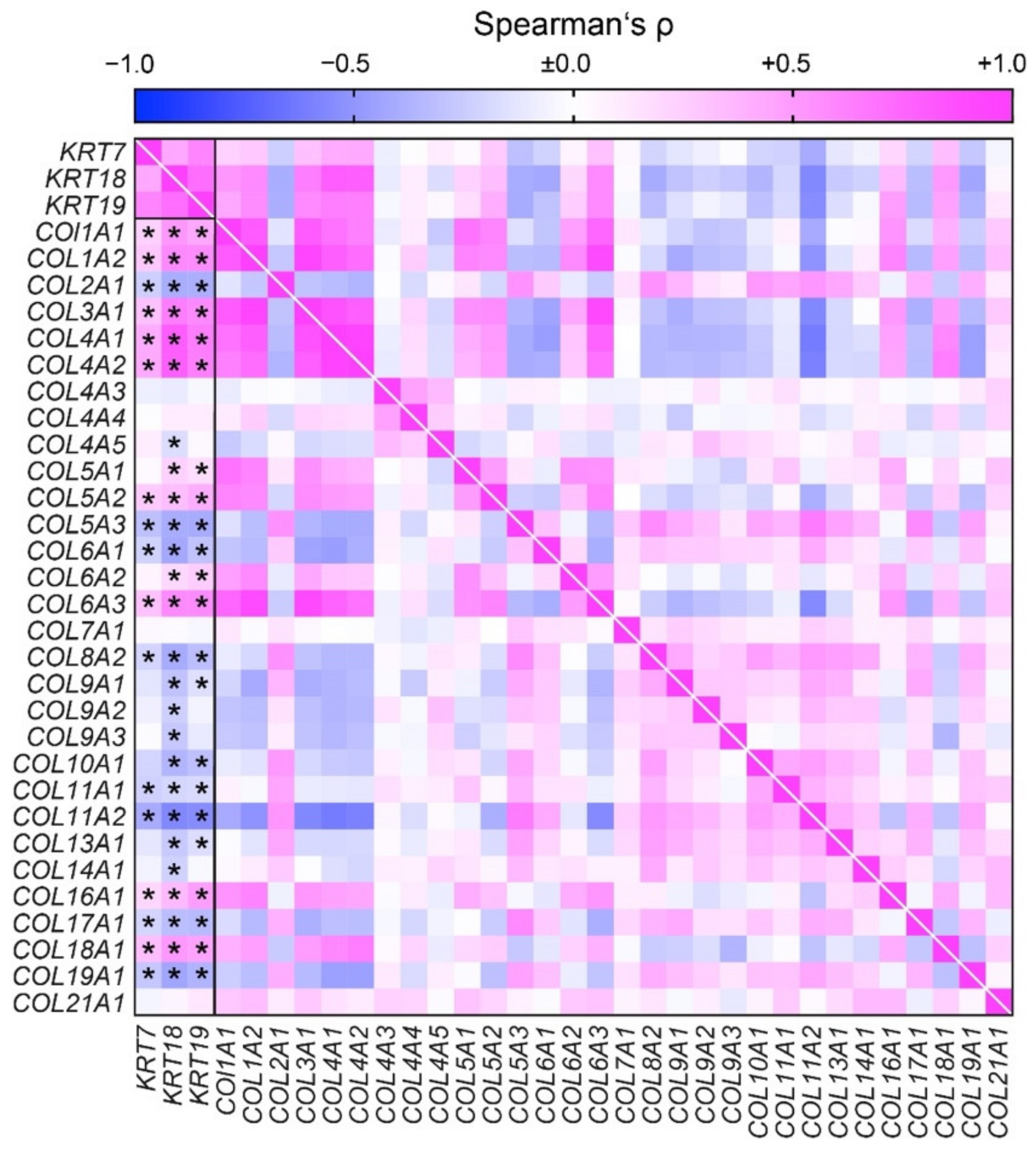 Cells 10 02014 g005 550