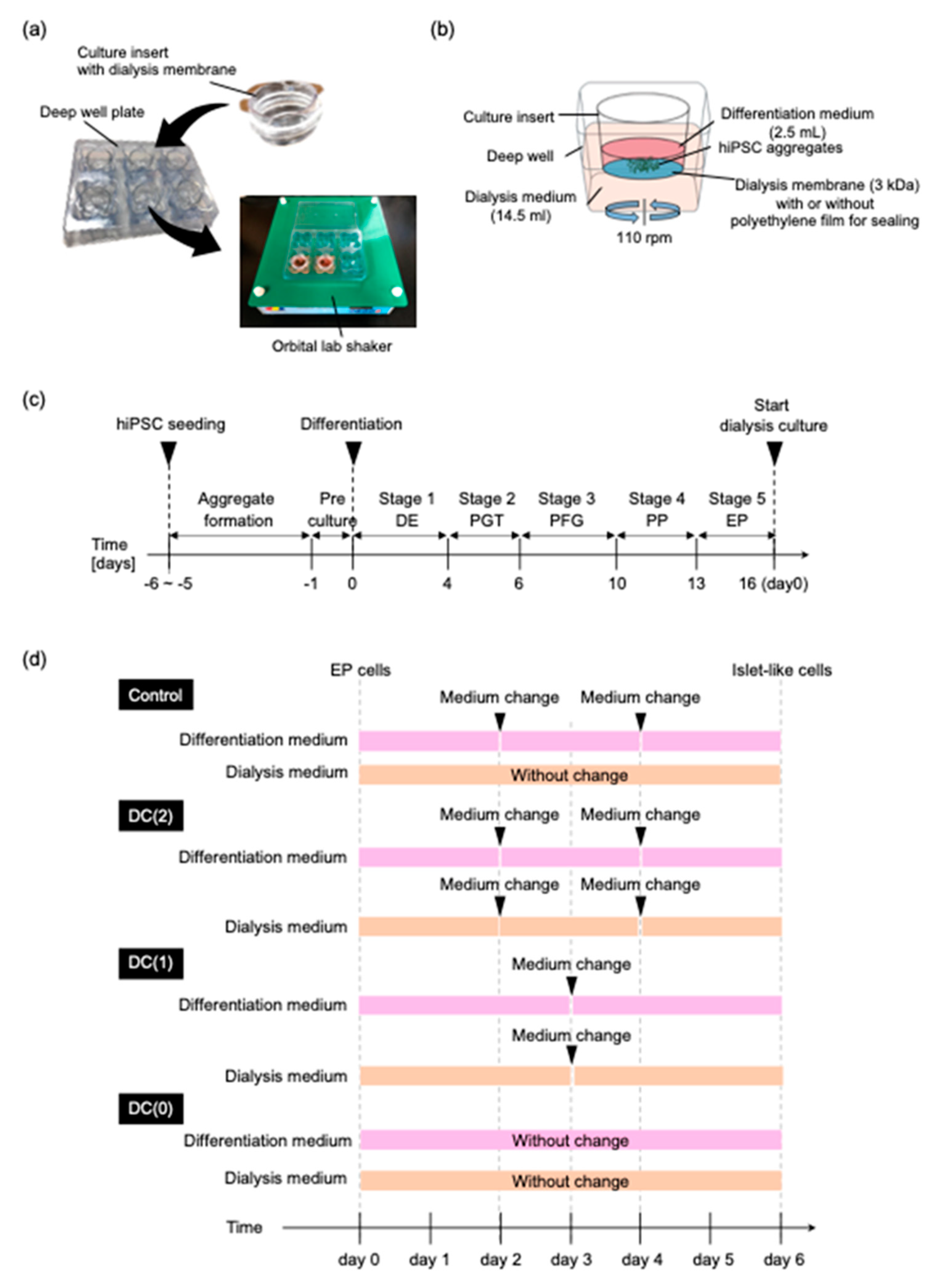 Cells 10 02017 g001 550