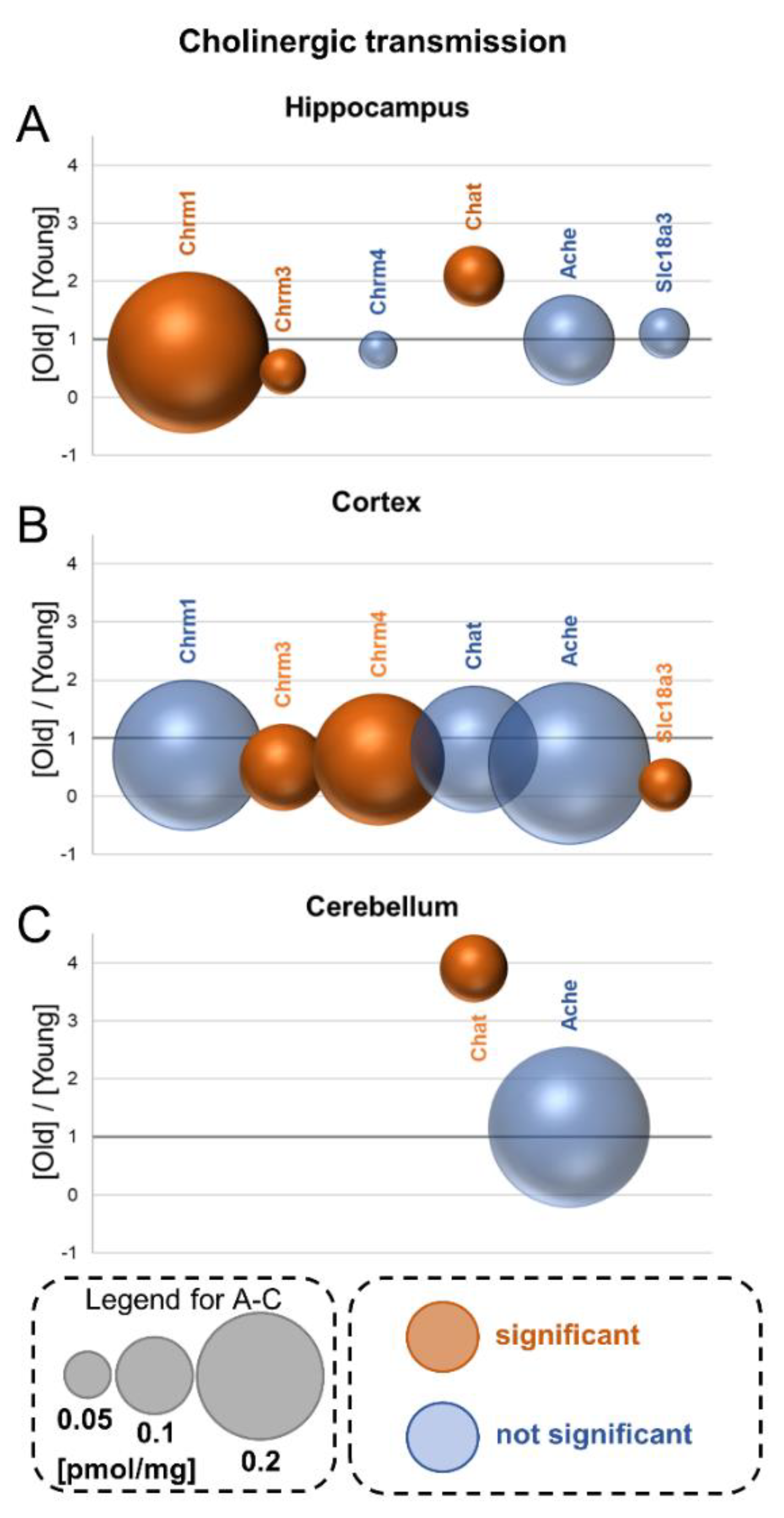 Cells 10 02021 g005 Cells 10 02021 g005