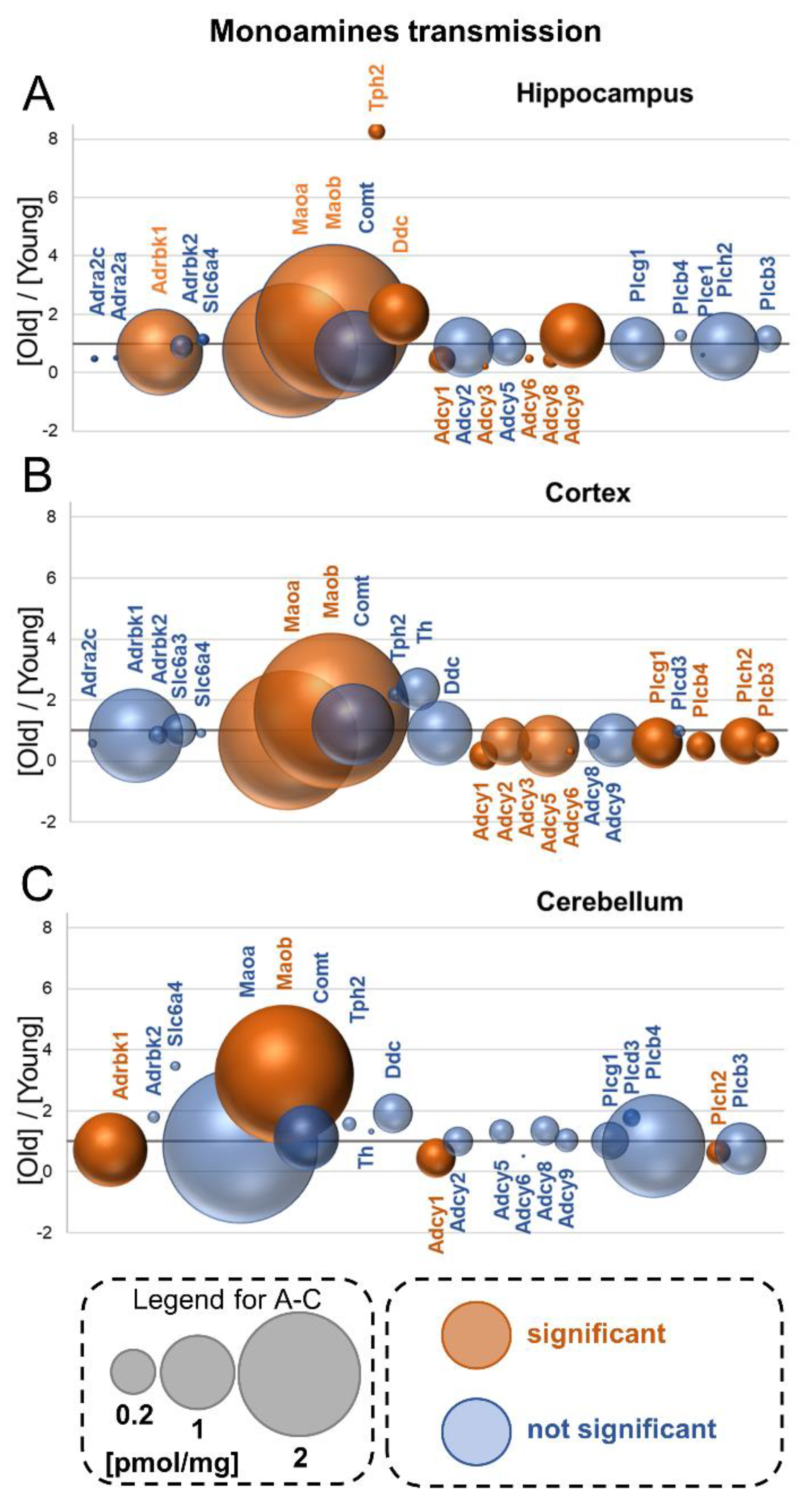 Cells 10 02021 g006 Cells 10 02021 g006