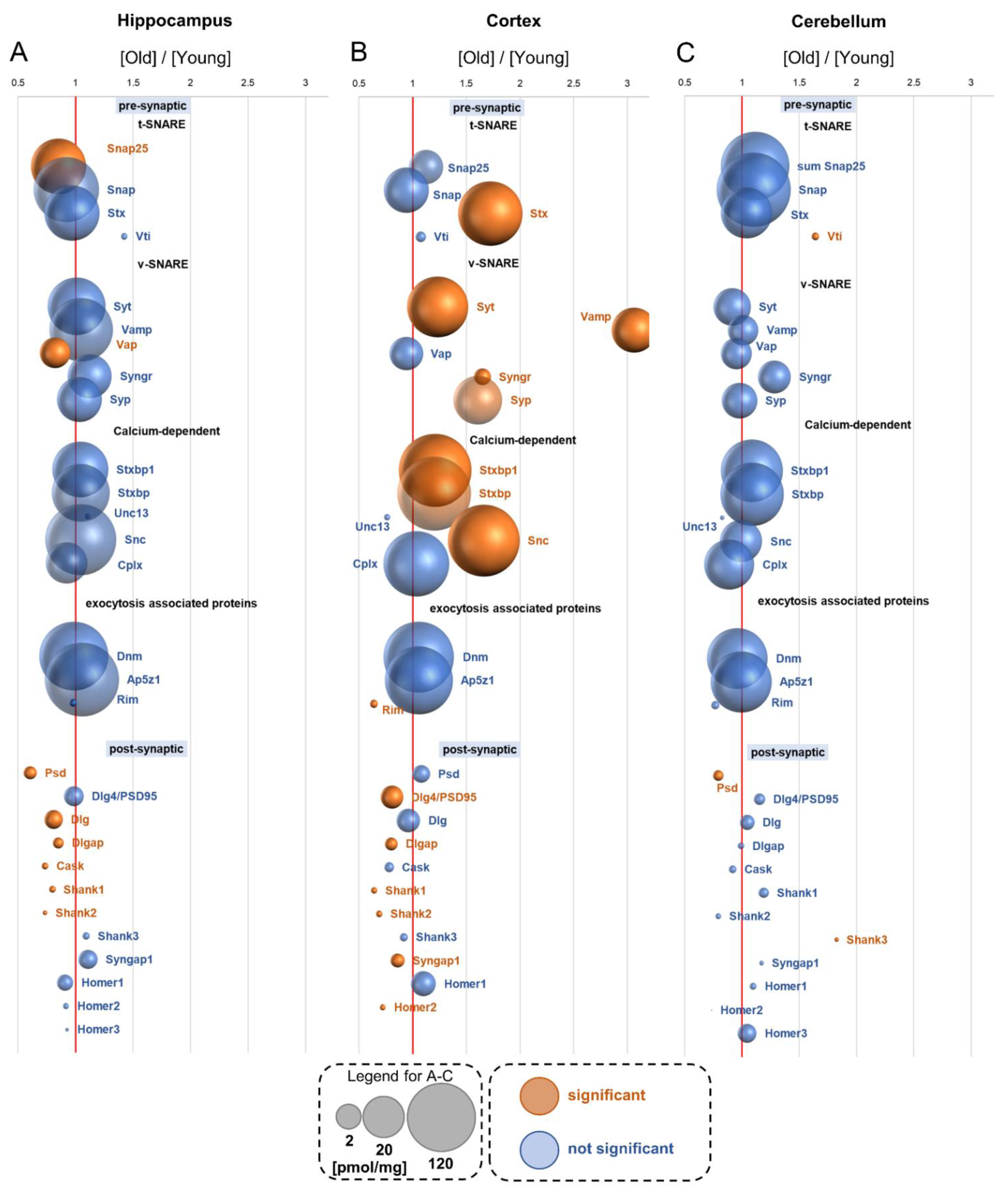 Cells 10 02021 g007 Cells 10 02021 g007