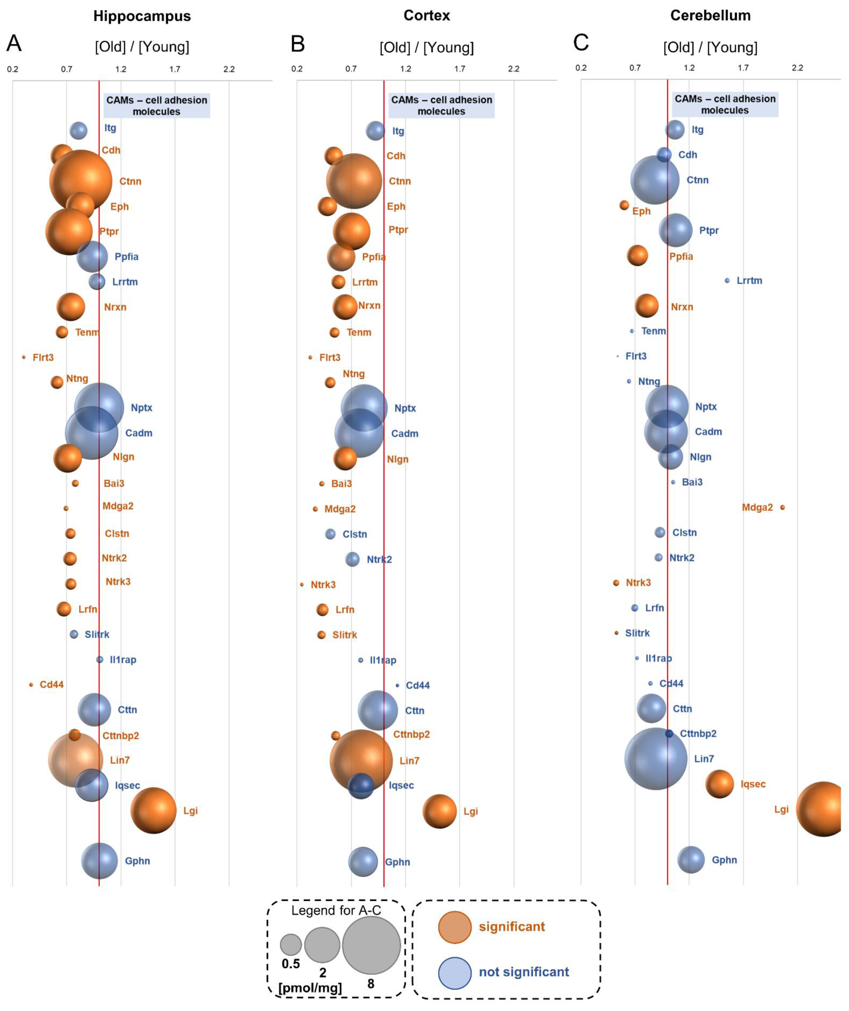 Cells 10 02021 g008 Cells 10 02021 g008
