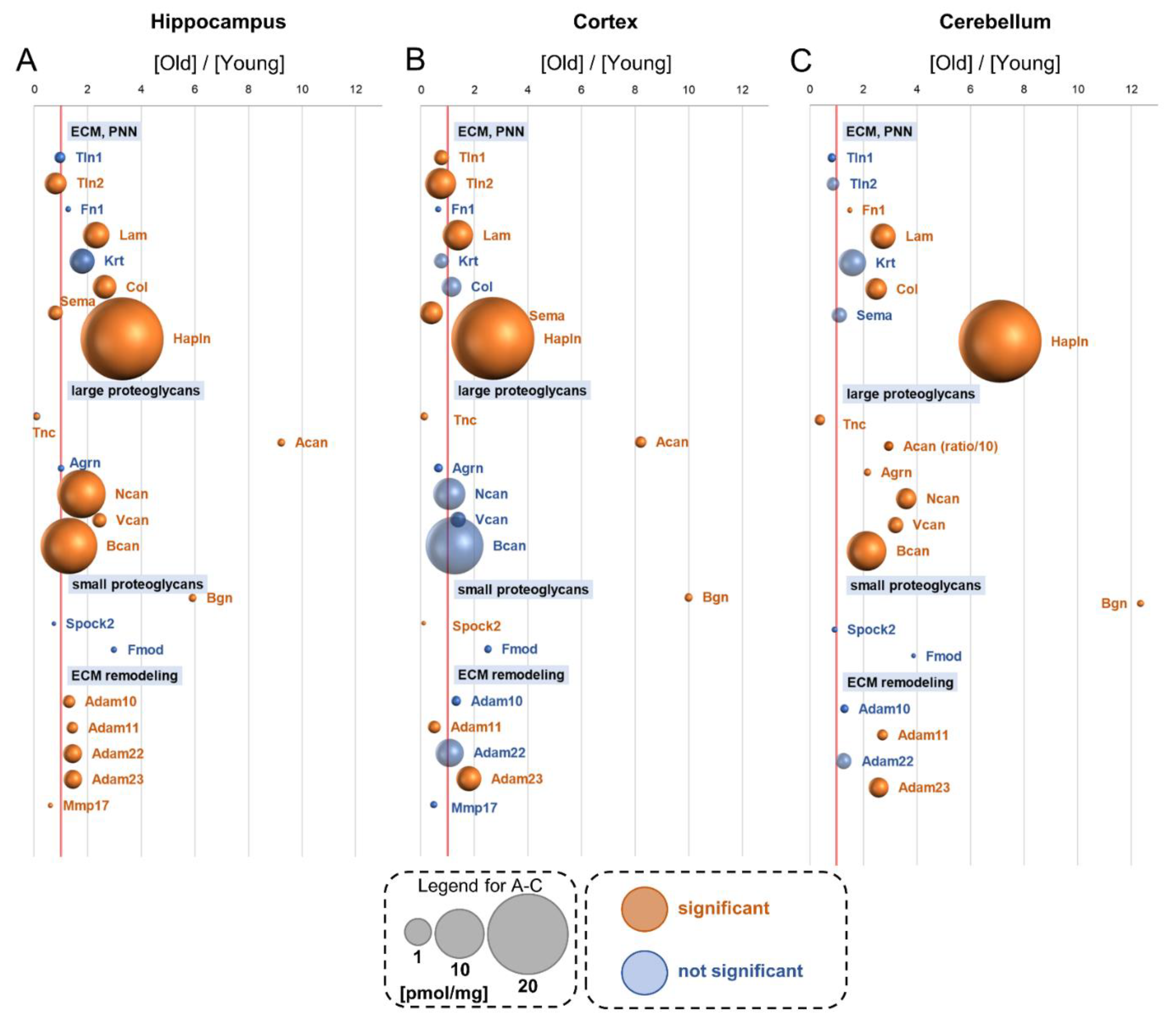 Cells 10 02021 g009 Cells 10 02021 g009
