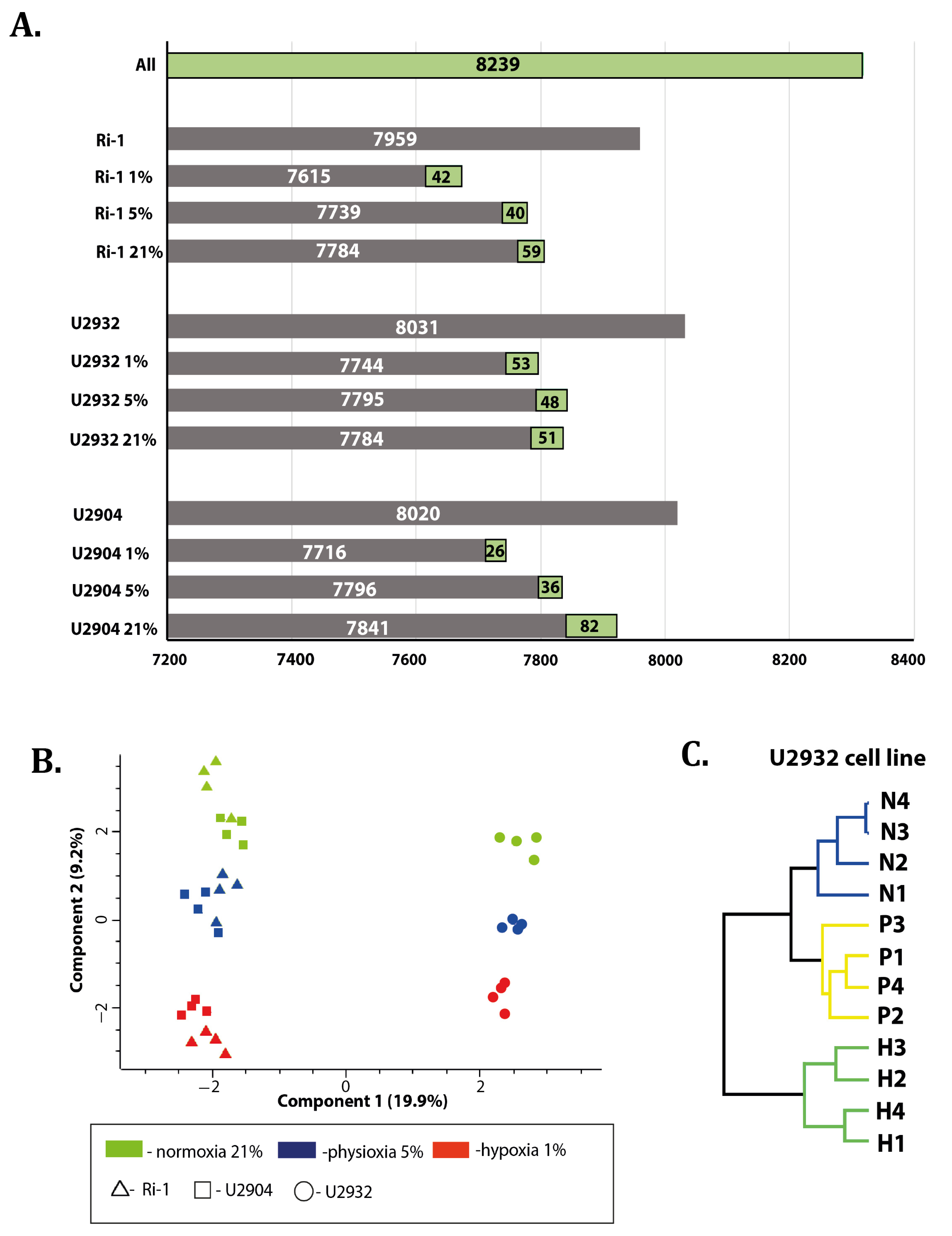 Cells 10 02025 g001 550