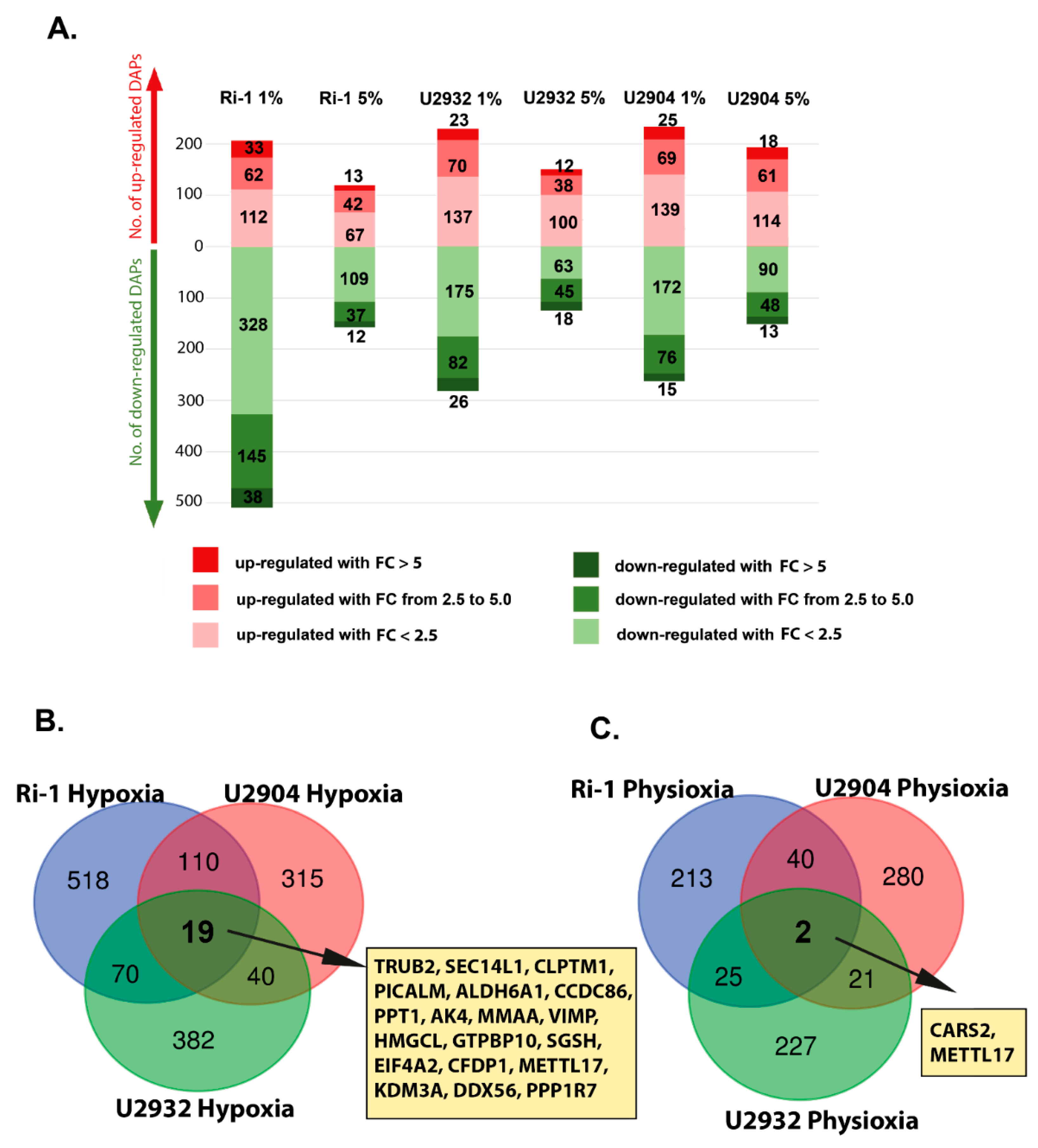 Cells 10 02025 g003 550