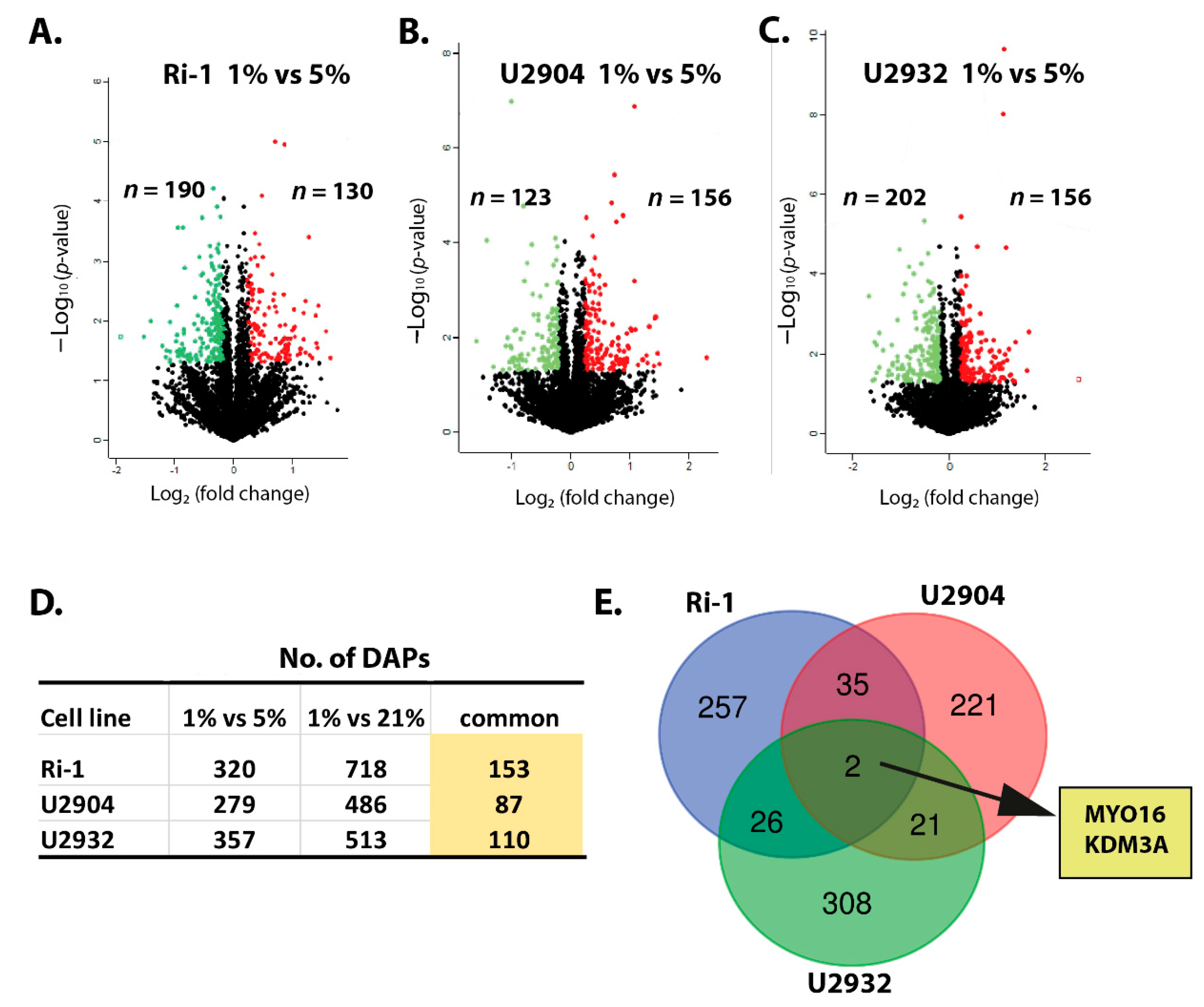 Cells 10 02025 g004 550