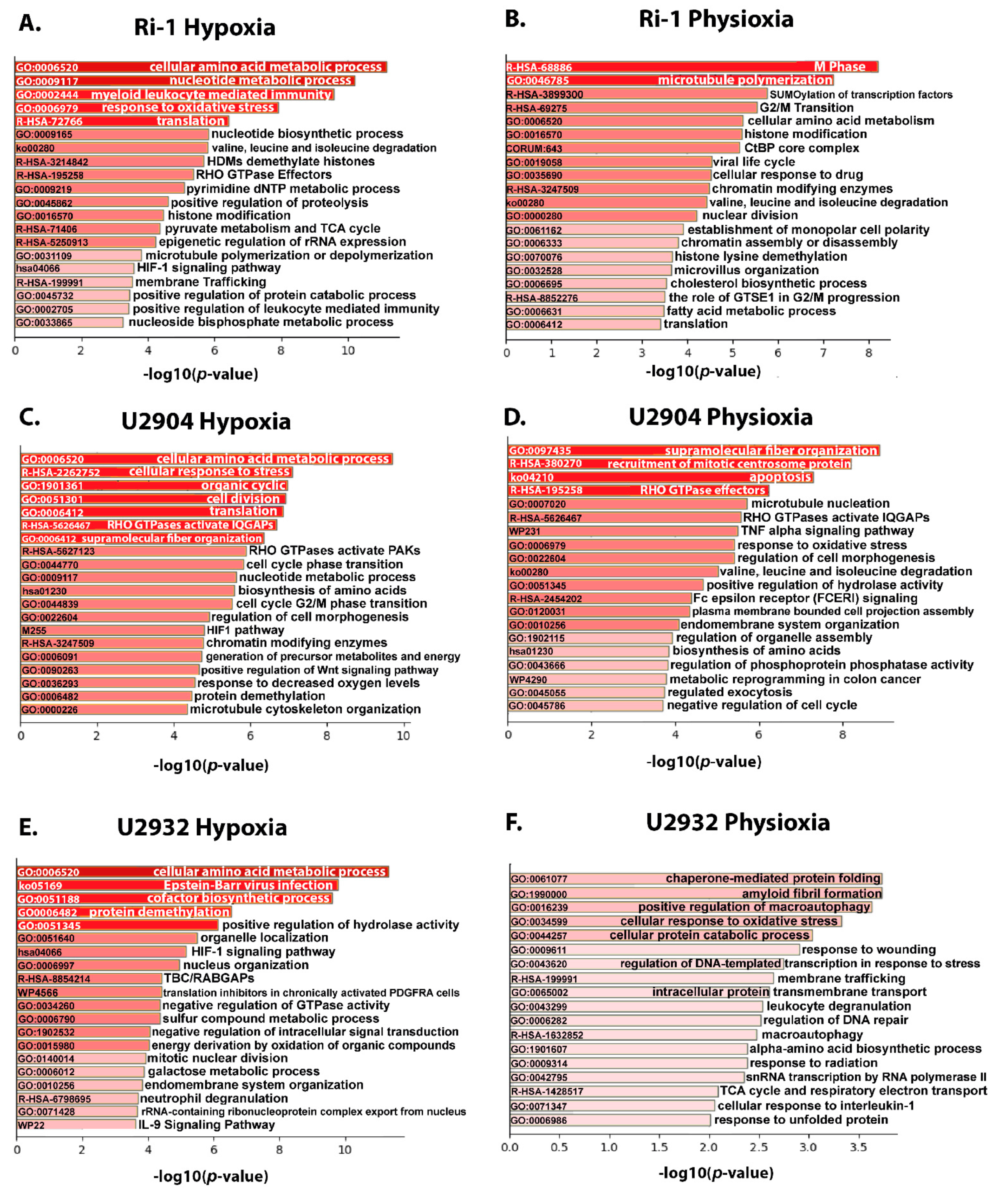 Cells 10 02025 g005 550
