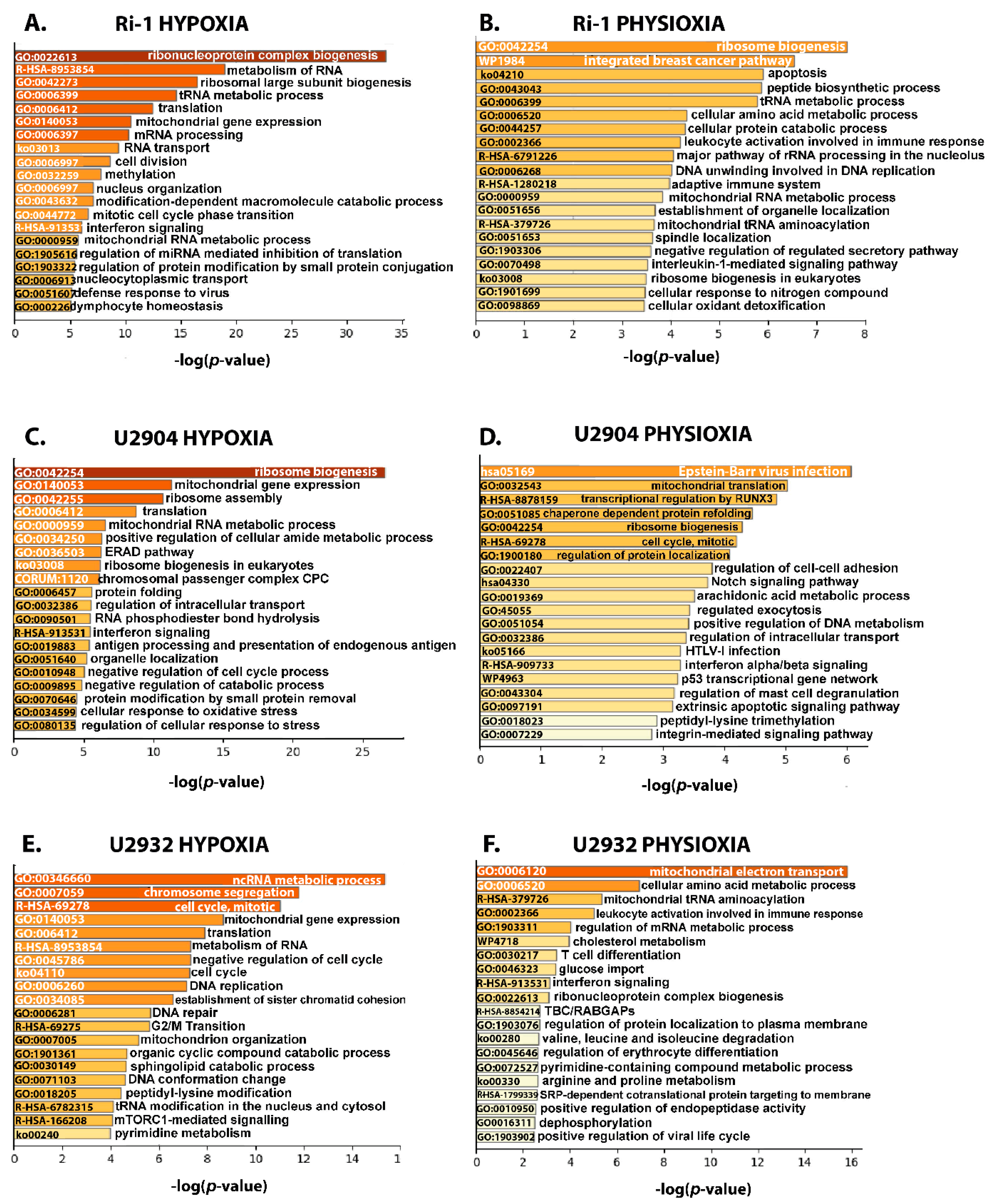 Cells 10 02025 g006 550