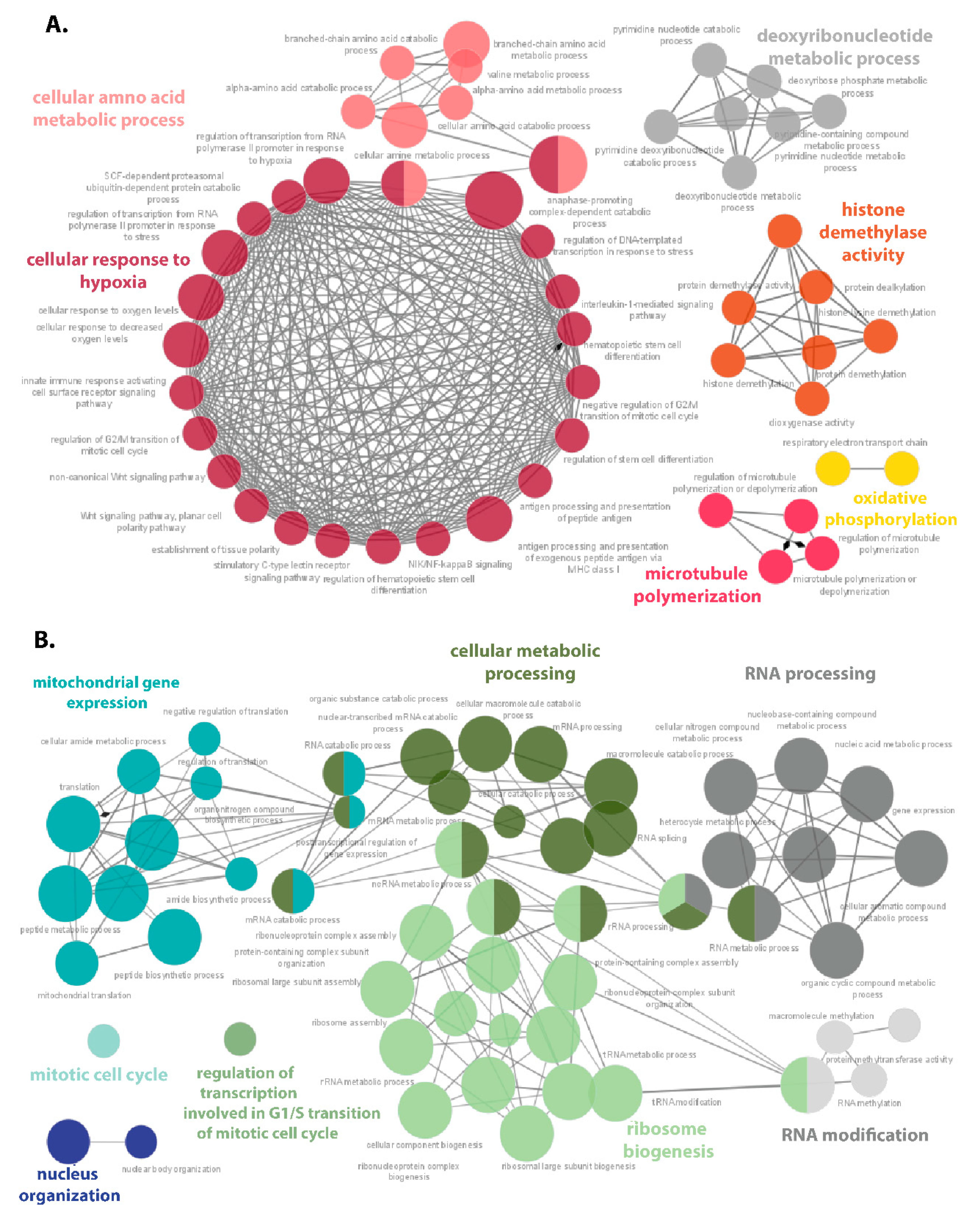 Cells 10 02025 g007 550