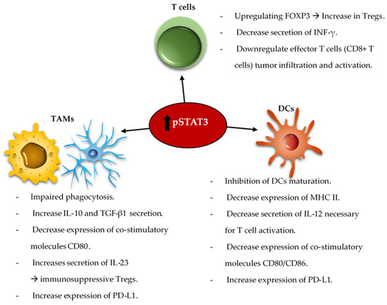 Cells 10 02032 g002 550