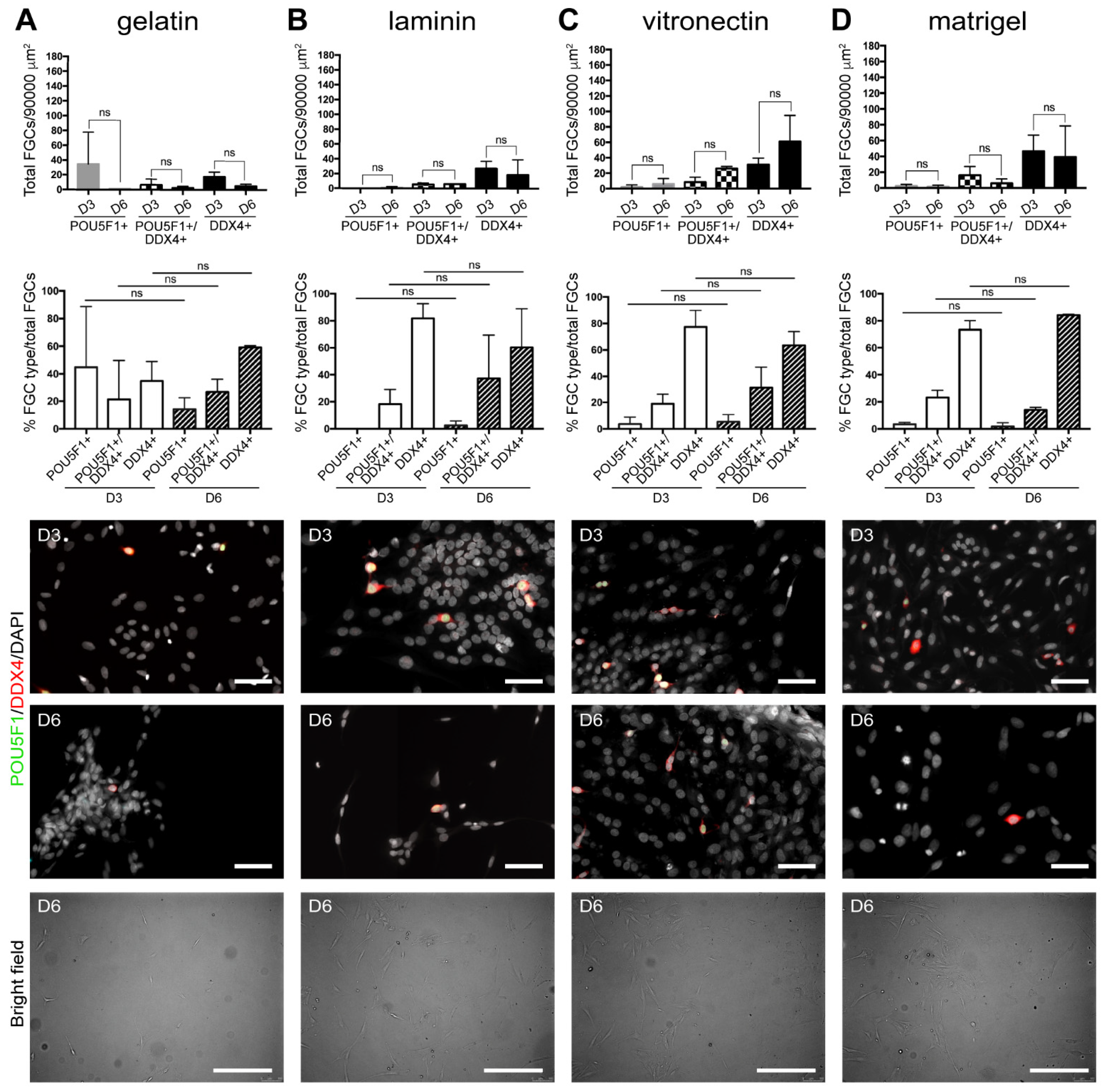 Cells 10 02033 g003 Cells 10 02033 g003