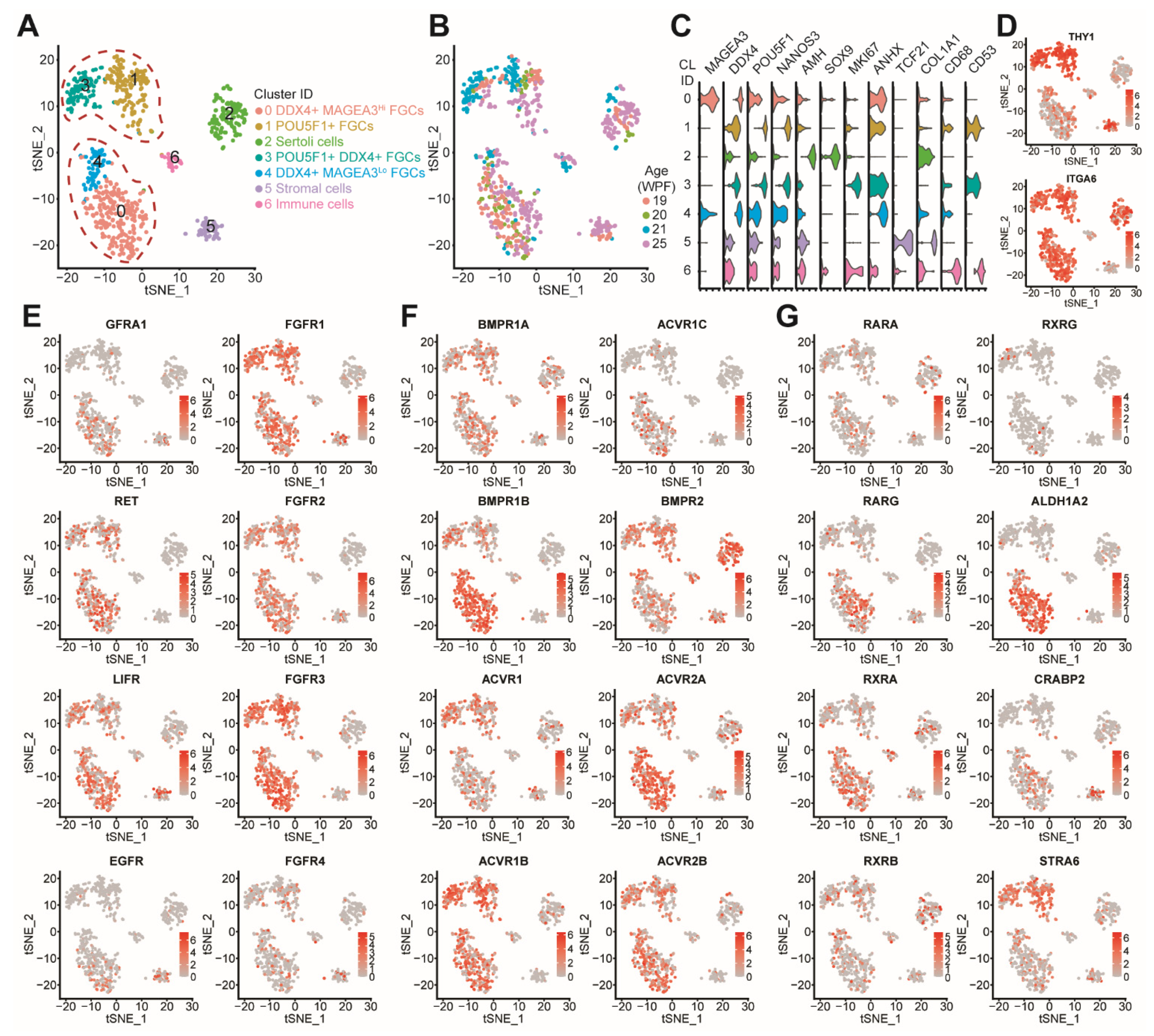 Cells 10 02033 g005 Cells 10 02033 g005
