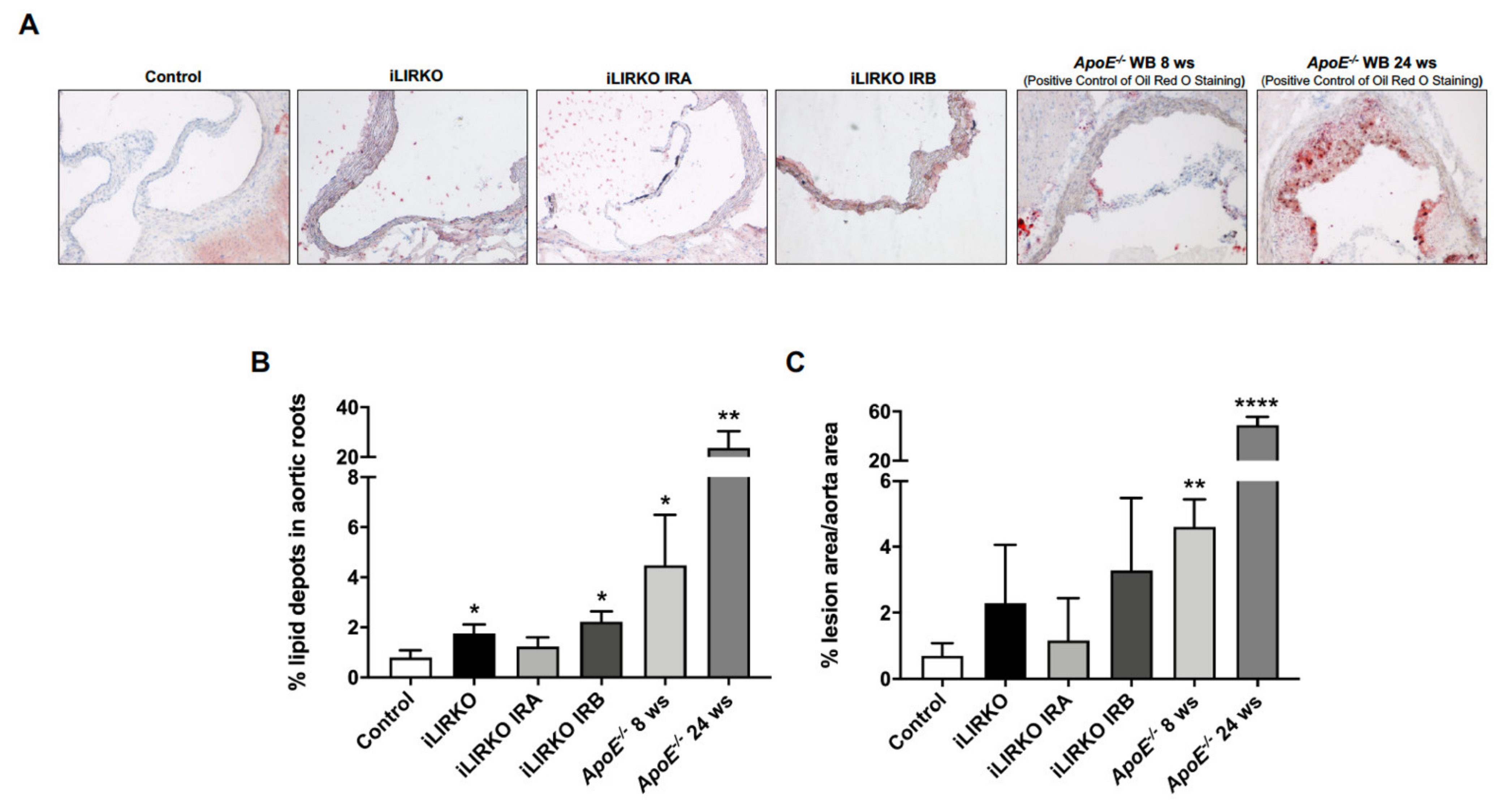 Cells 10 02035 g005 Cells 10 02035 g005