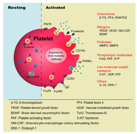 Cells 10 02038 g001 550