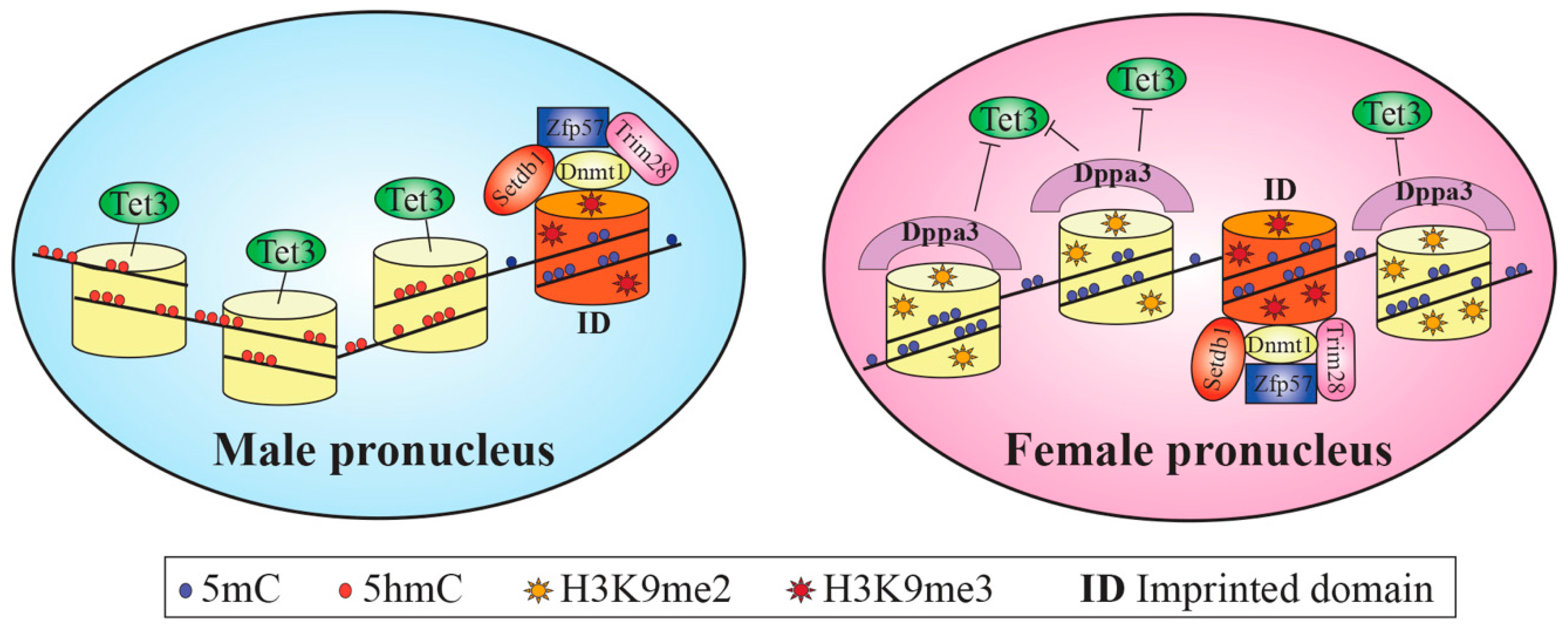 Cells 10 02049 g002
