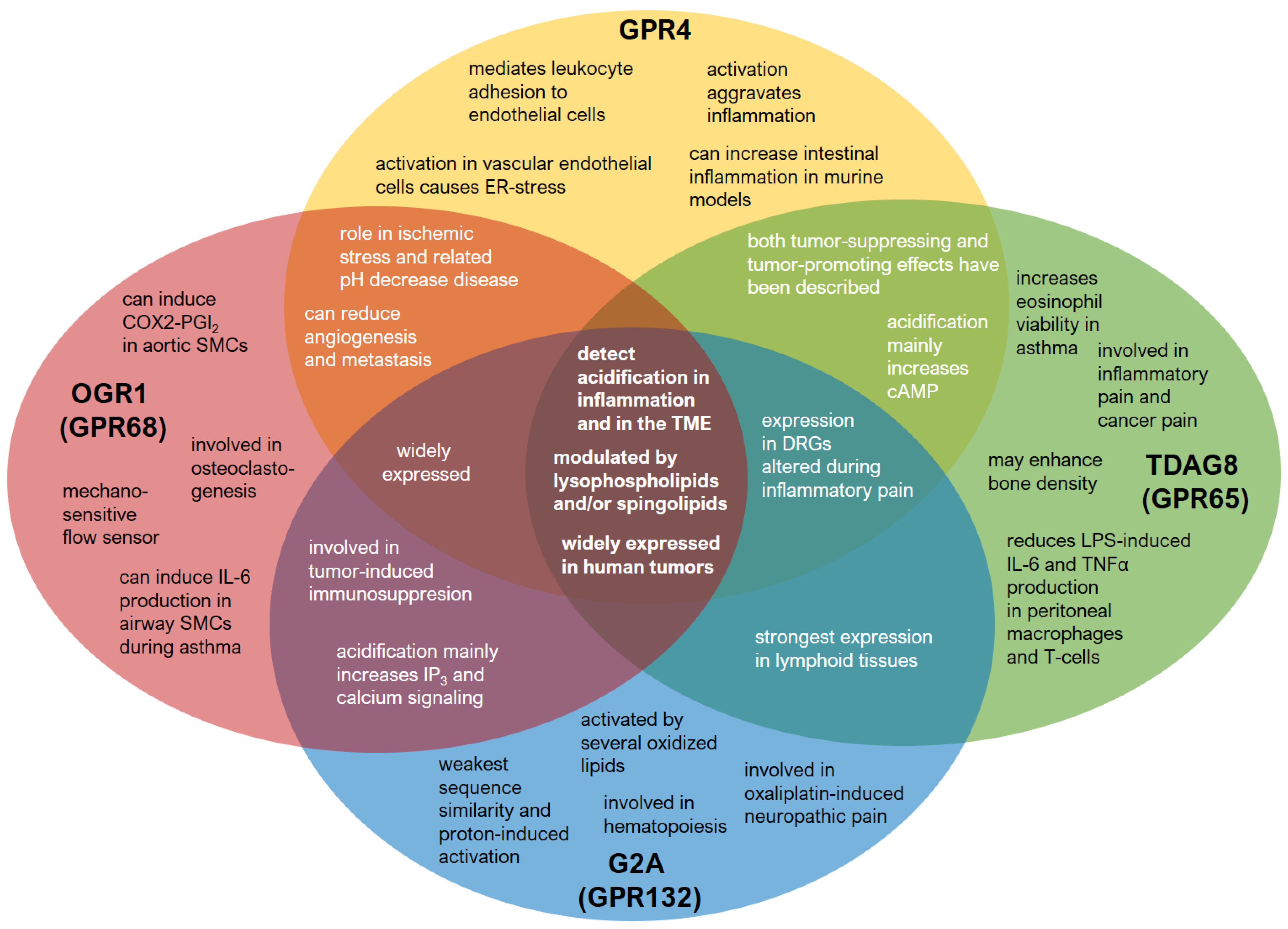 Cells 10 02050 g002 Cells 10 02050 g002