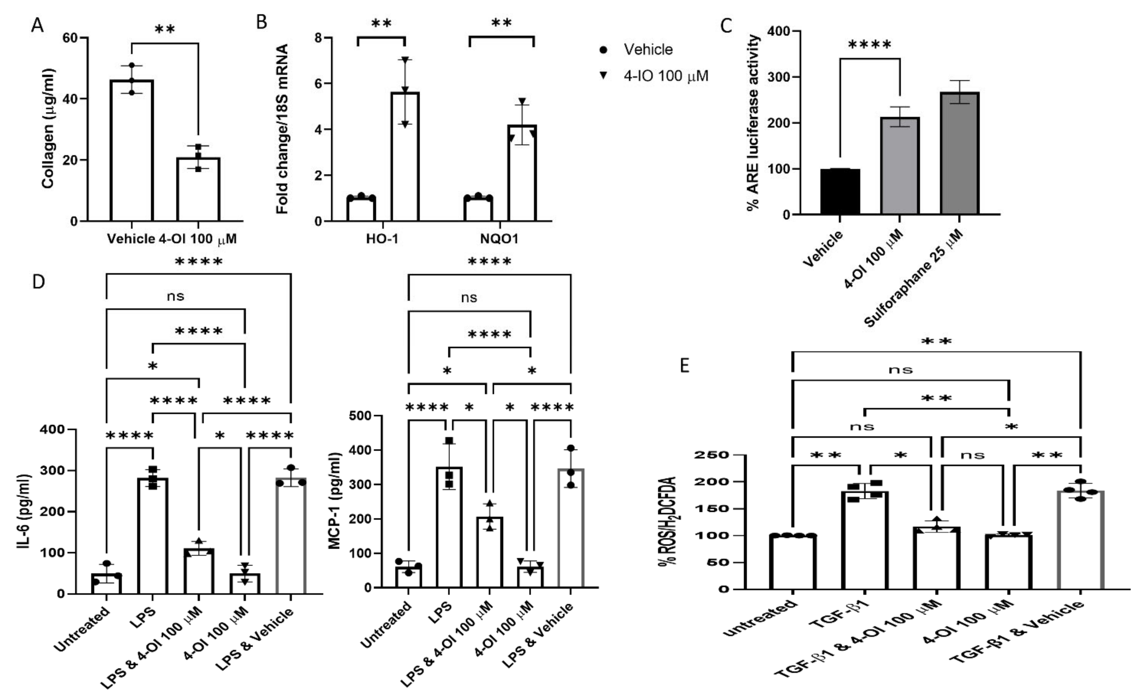 Cells 10 02053 g001 Cells 10 02053 g001