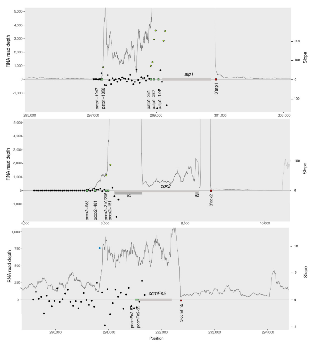 Cells 10 02054 g002 Cells 10 02054 g002