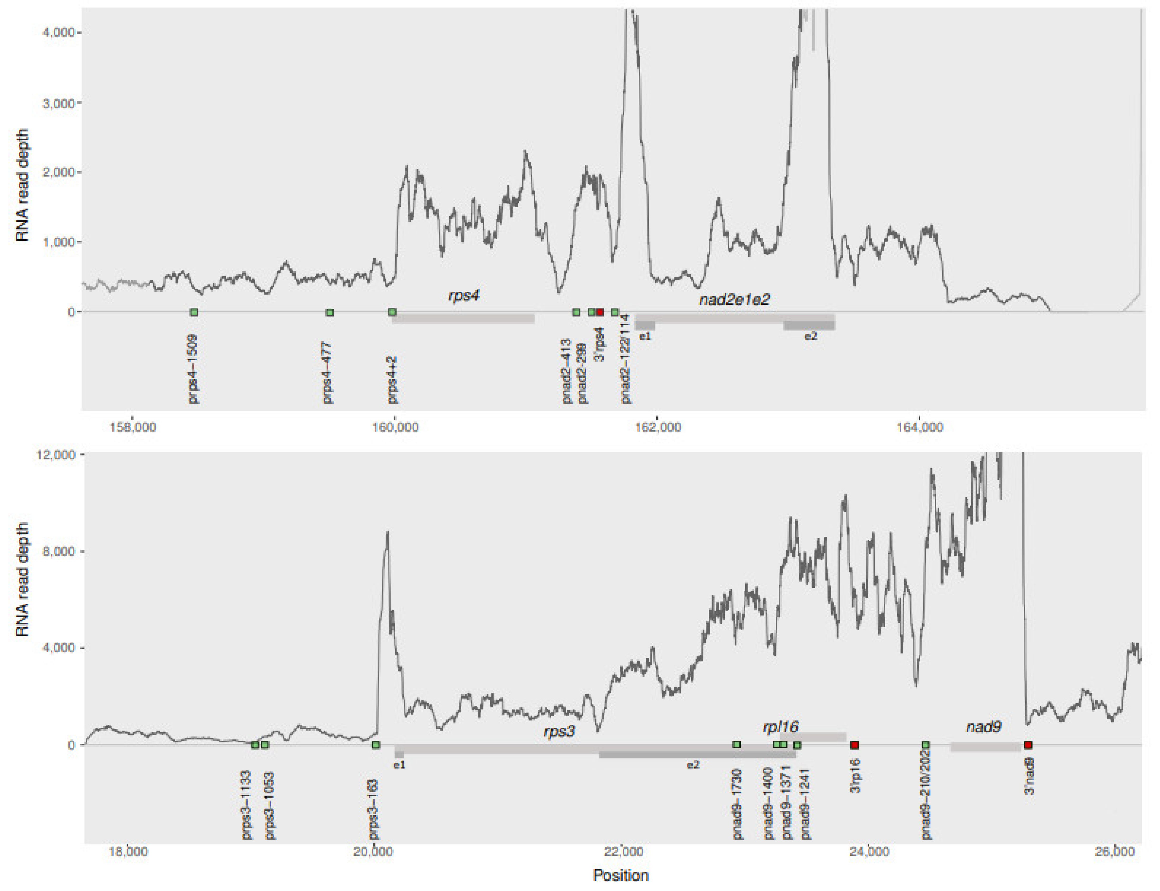 Cells 10 02054 g003 Cells 10 02054 g003