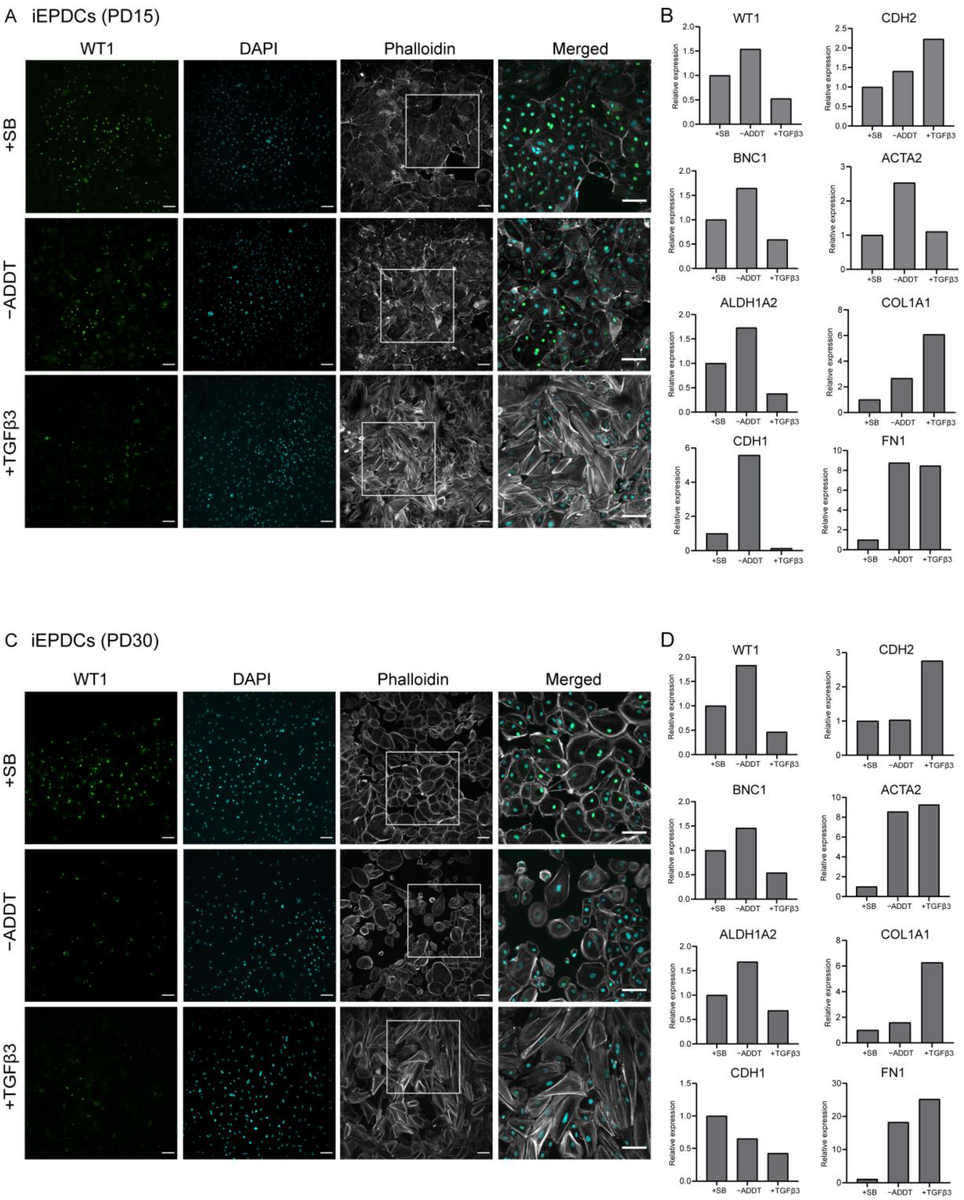 Cells 10 02064 g003 Cells 10 02064 g003