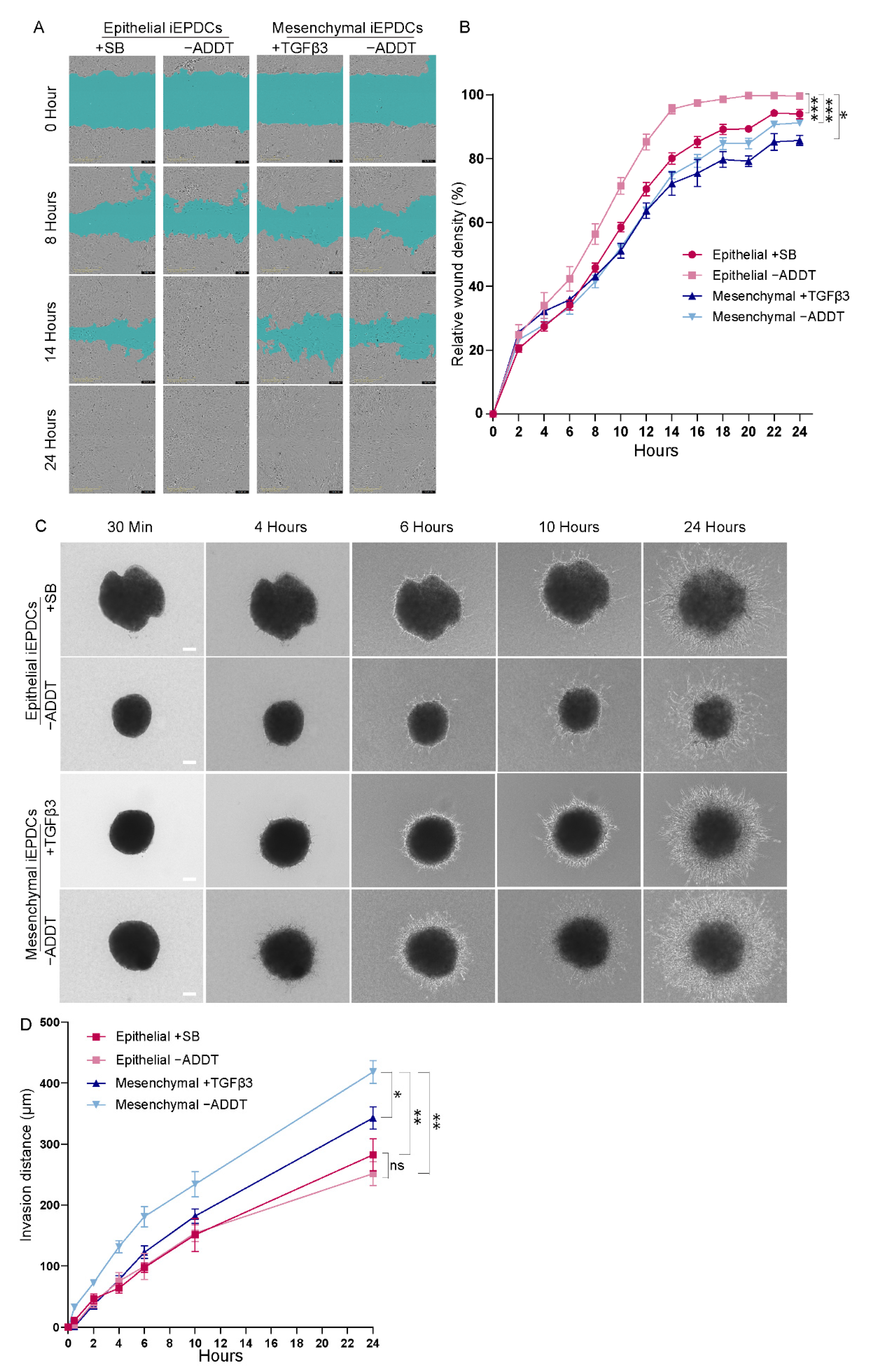 Cells 10 02064 g005 Cells 10 02064 g005