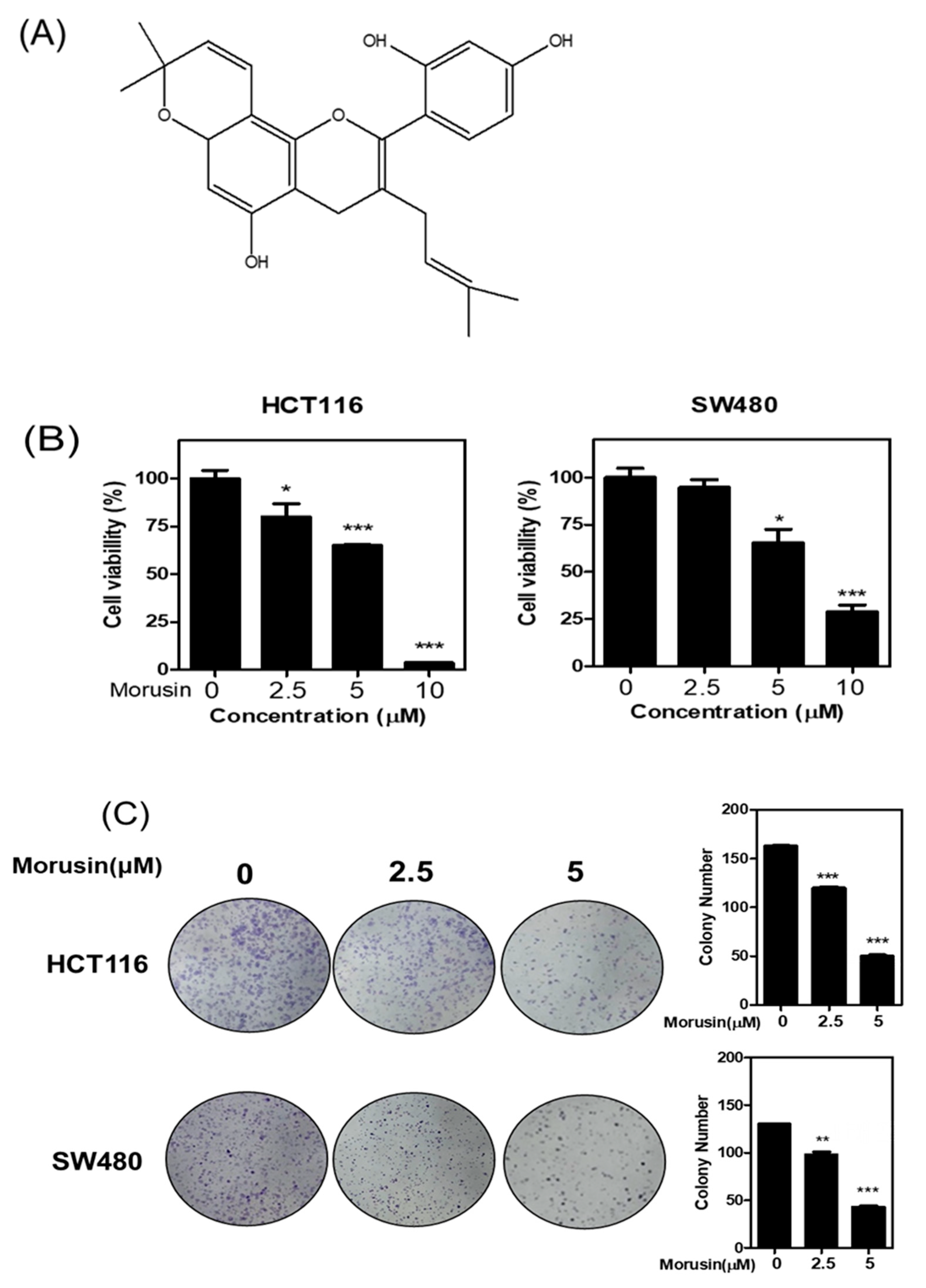Cells 10 02065 g001 Cells 10 02065 g001