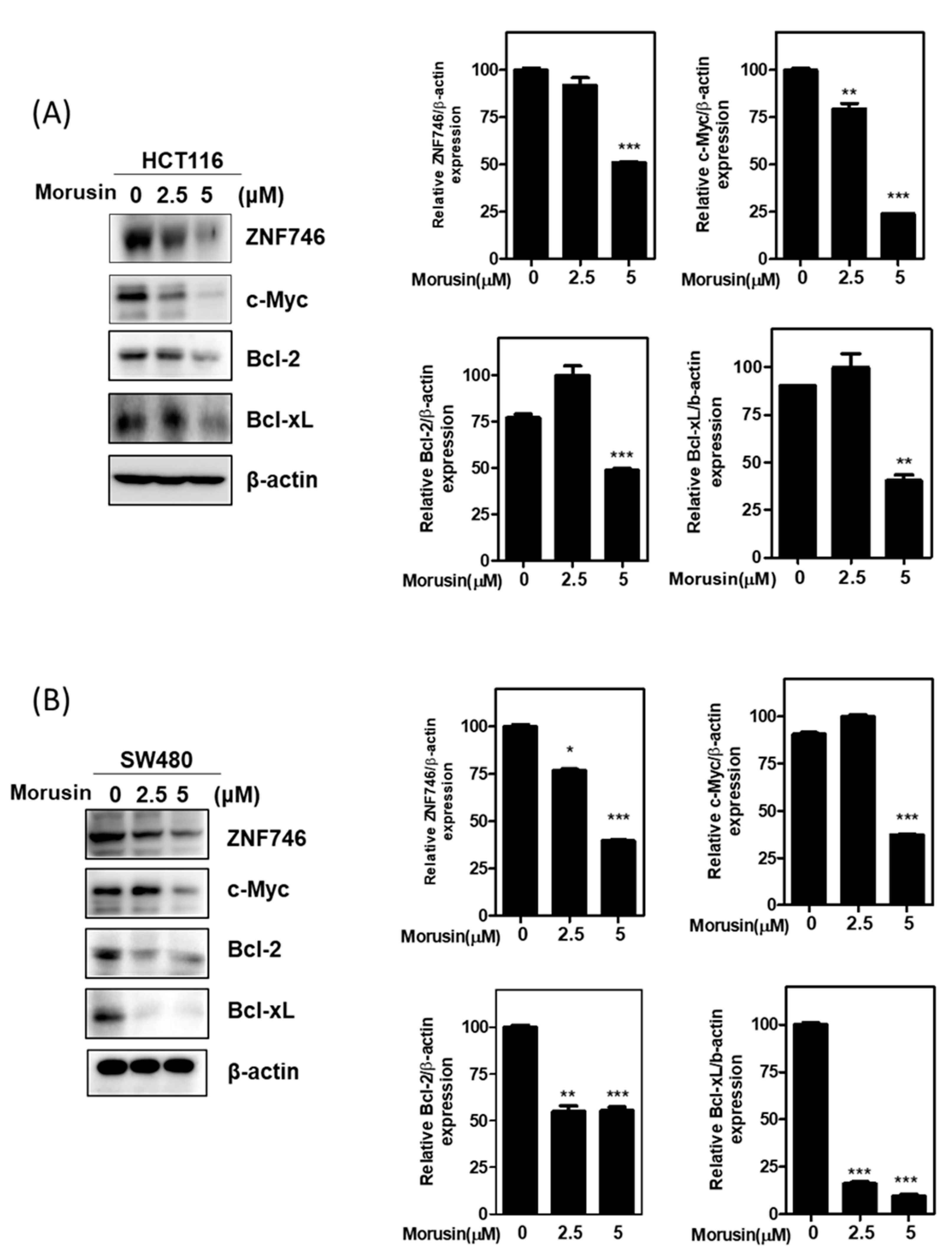 Cells 10 02065 g003 Cells 10 02065 g003