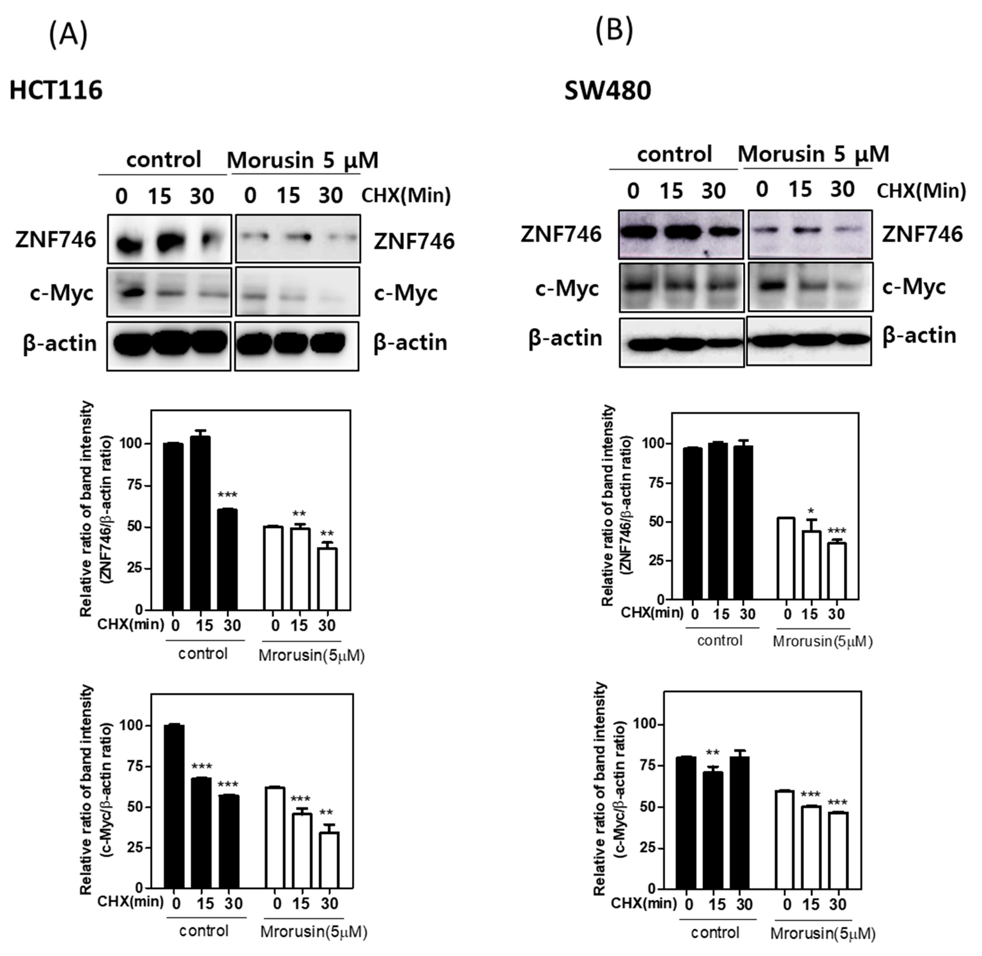 Cells 10 02065 g004 Cells 10 02065 g004