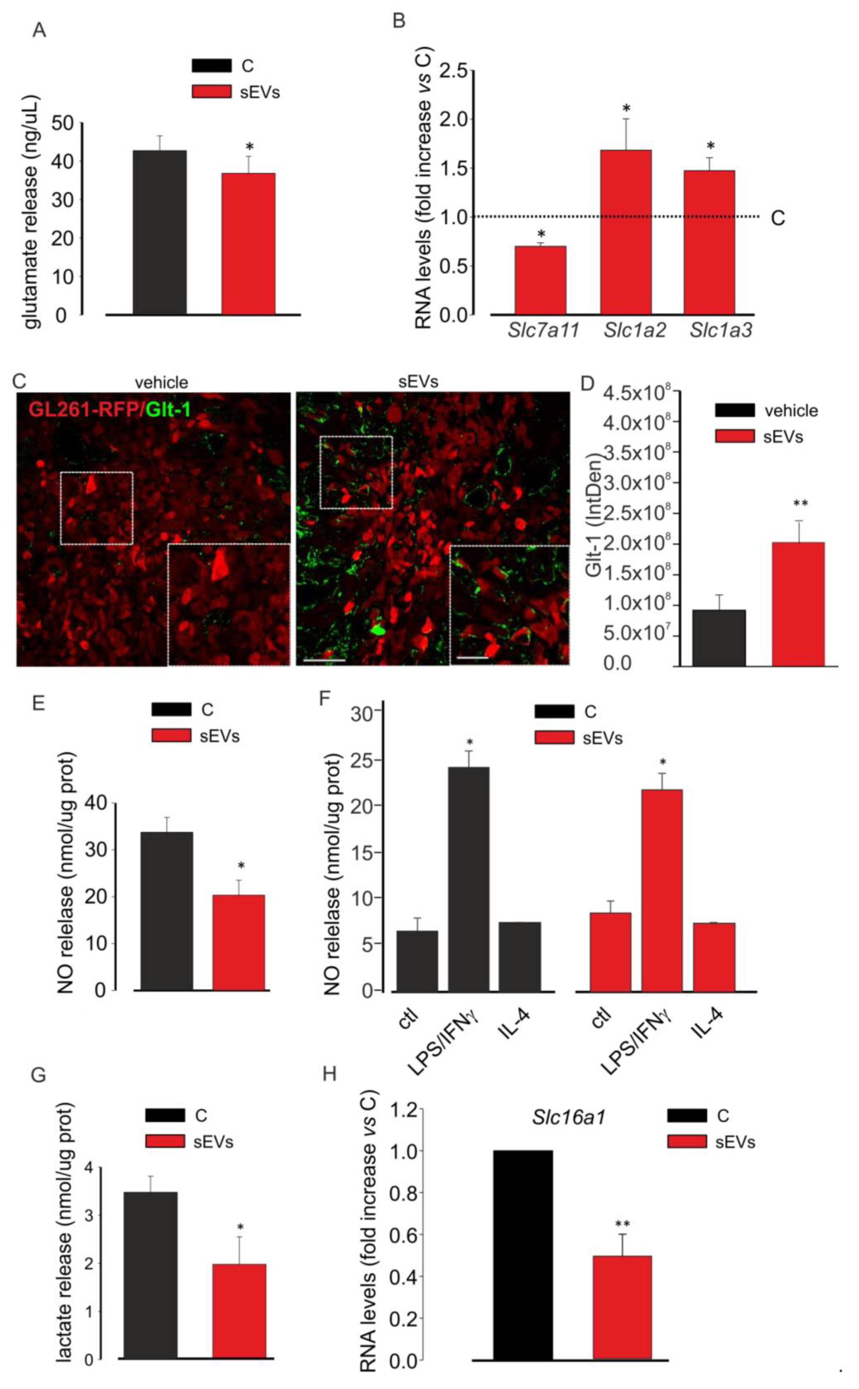 Cells 10 02066 g004 550