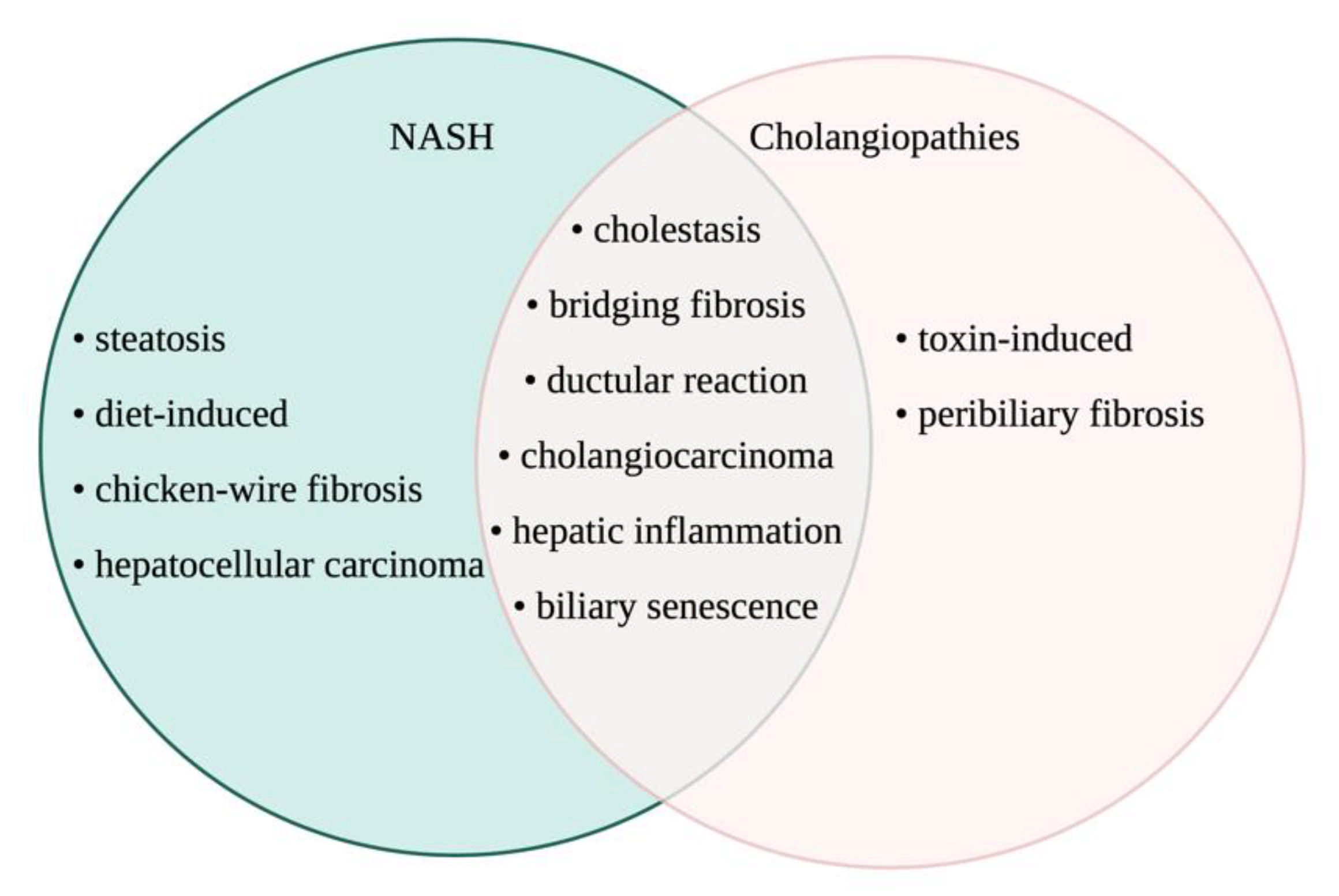 Cells 10 02072 g005 550