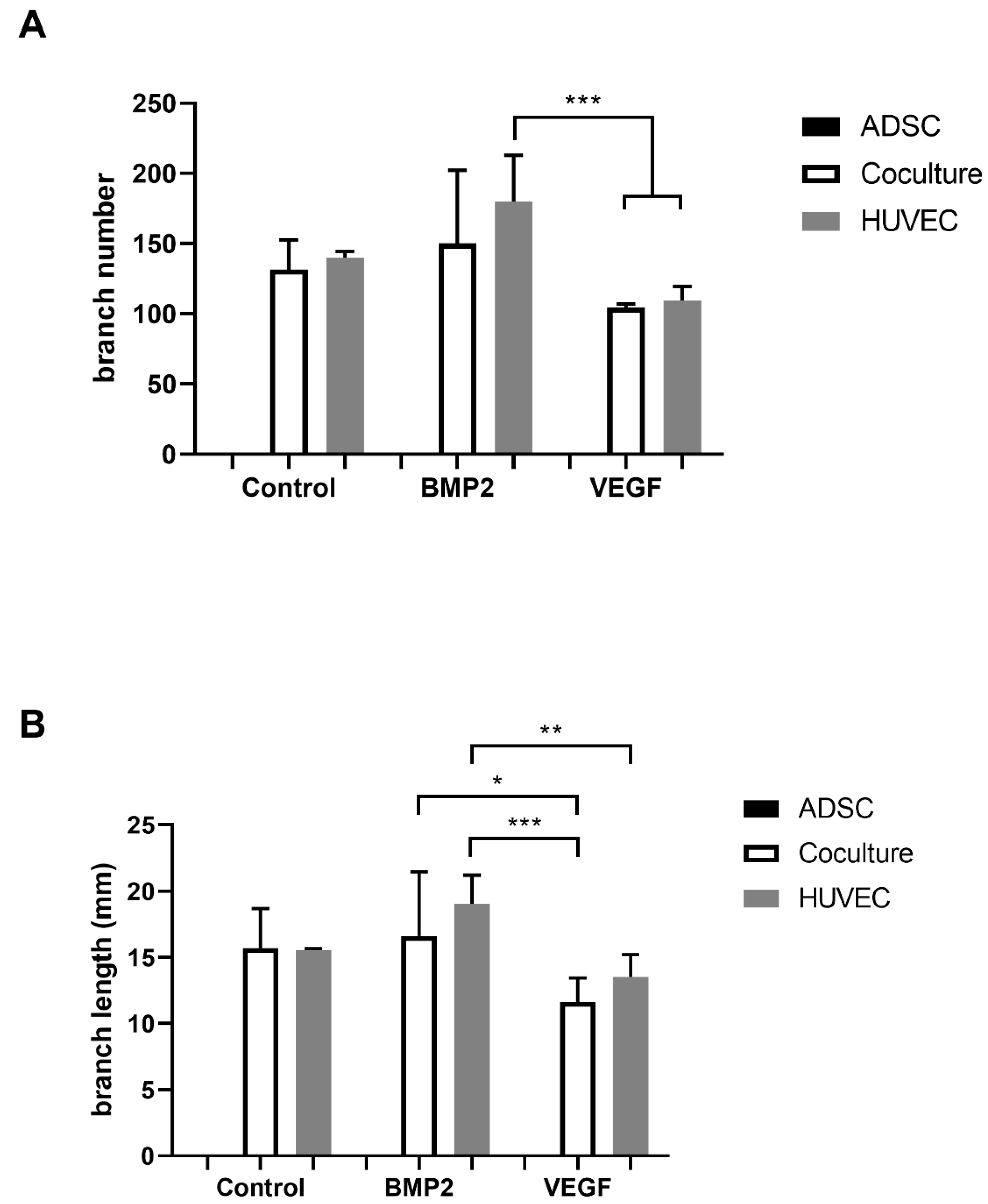 Cells 10 02074 g004 550