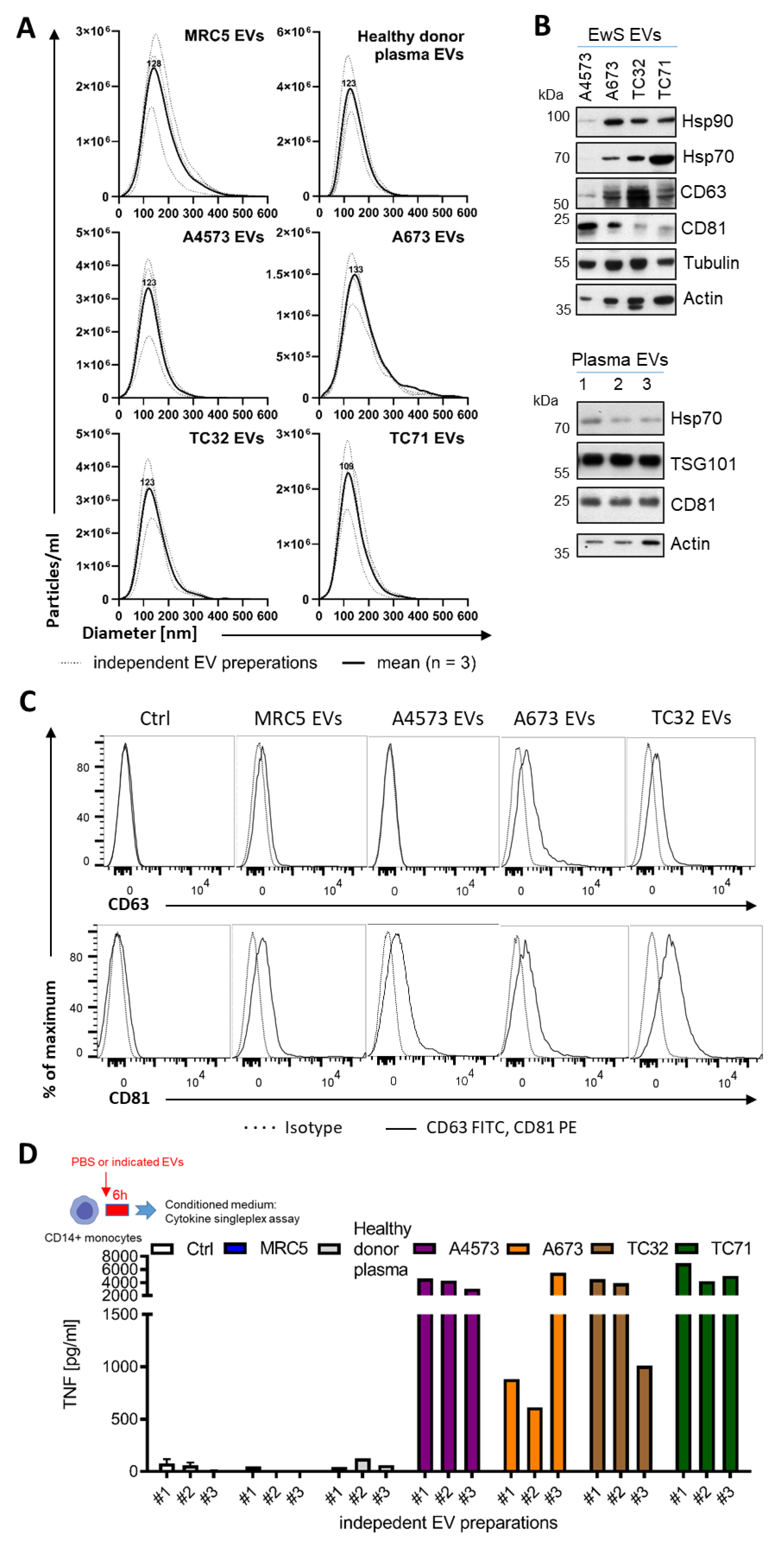 Cells 10 02081 g001 Cells 10 02081 g001