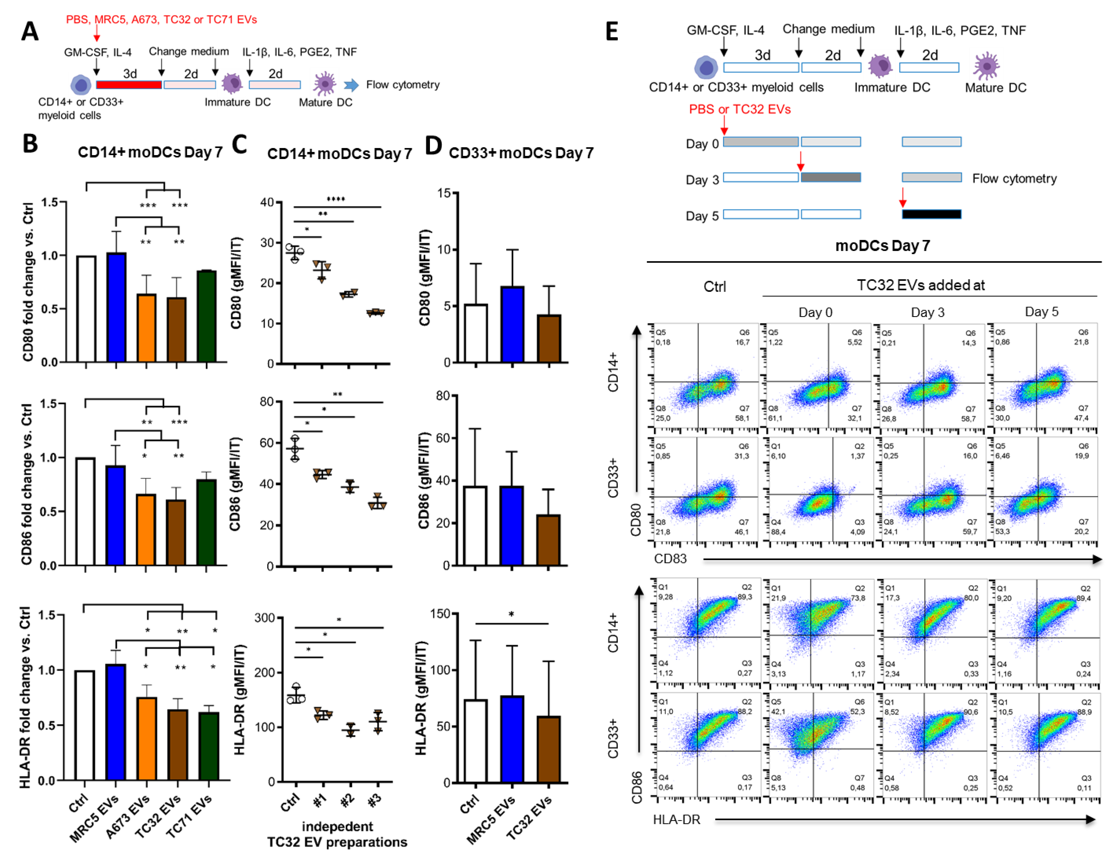 Cells 10 02081 g003 Cells 10 02081 g003