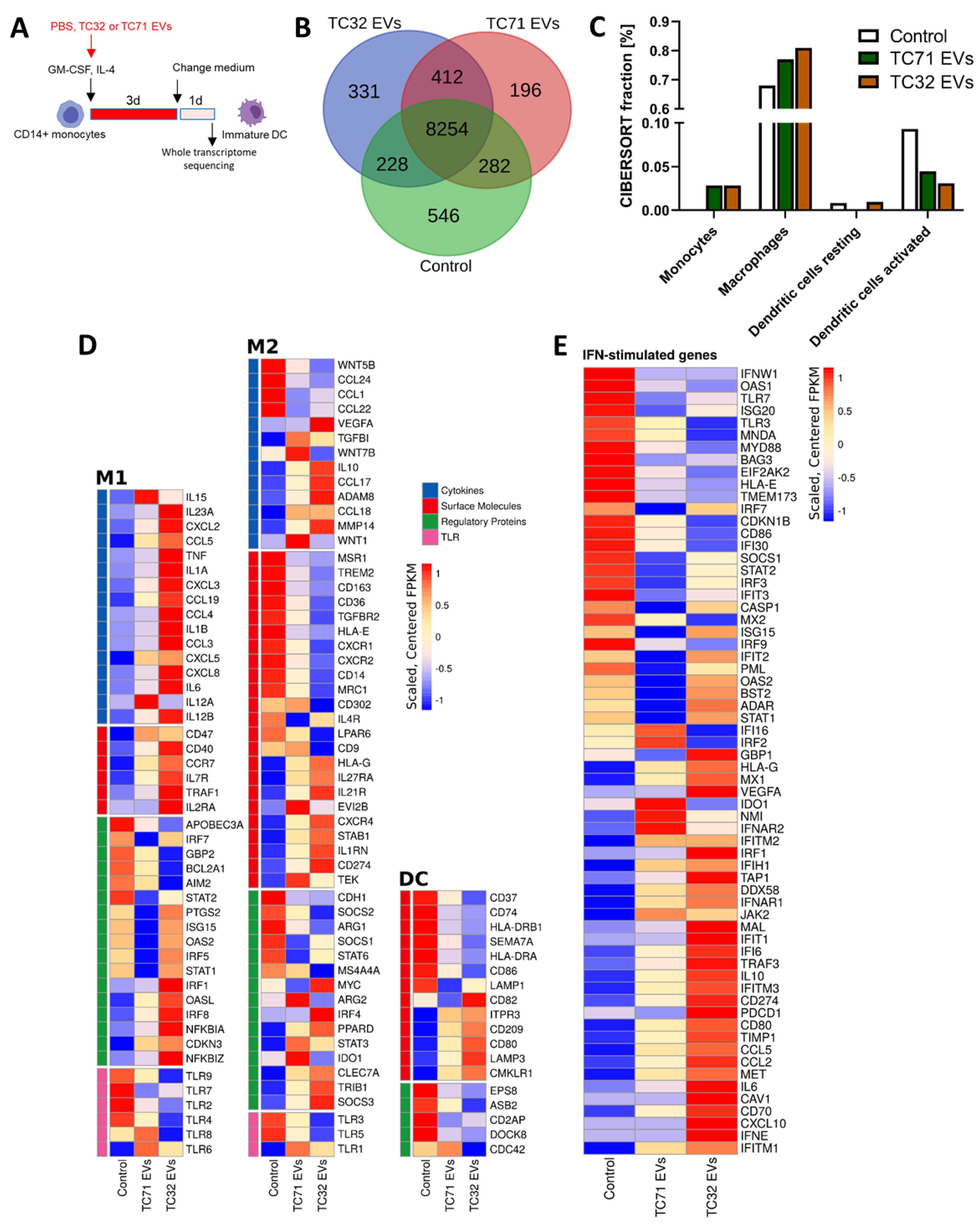 Cells 10 02081 g004 Cells 10 02081 g004
