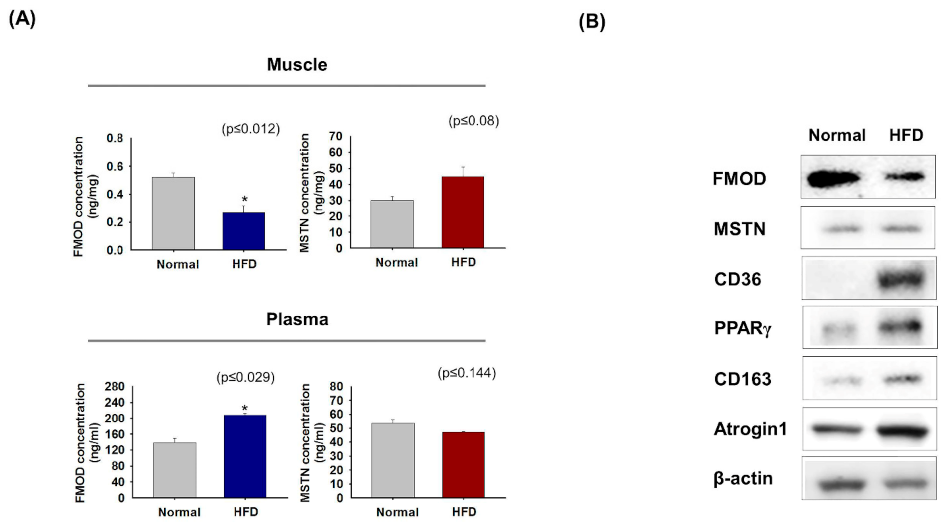 Cells 10 02083 g006 Cells 10 02083 g006