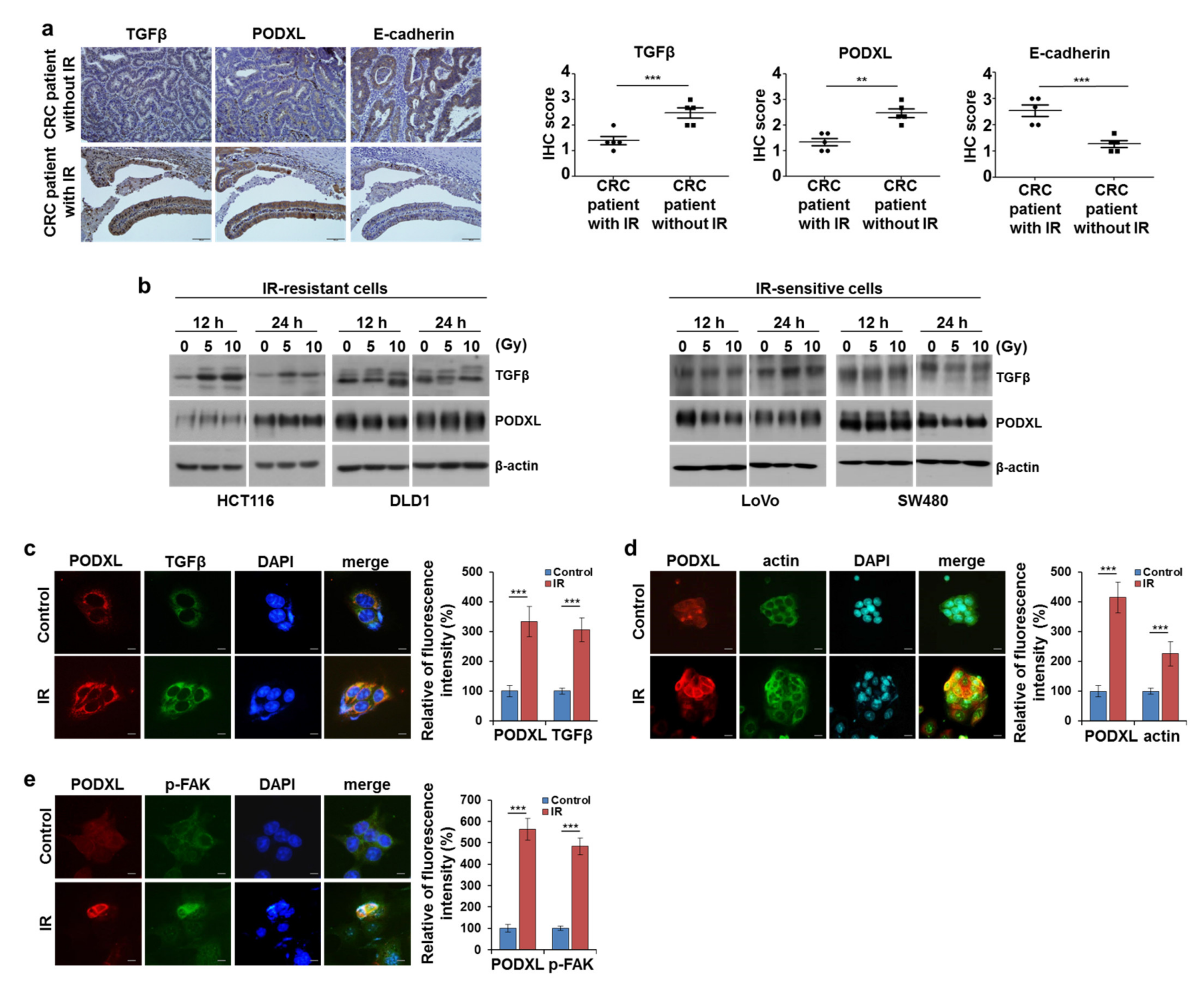 Cells 10 02087 g002 Cells 10 02087 g002