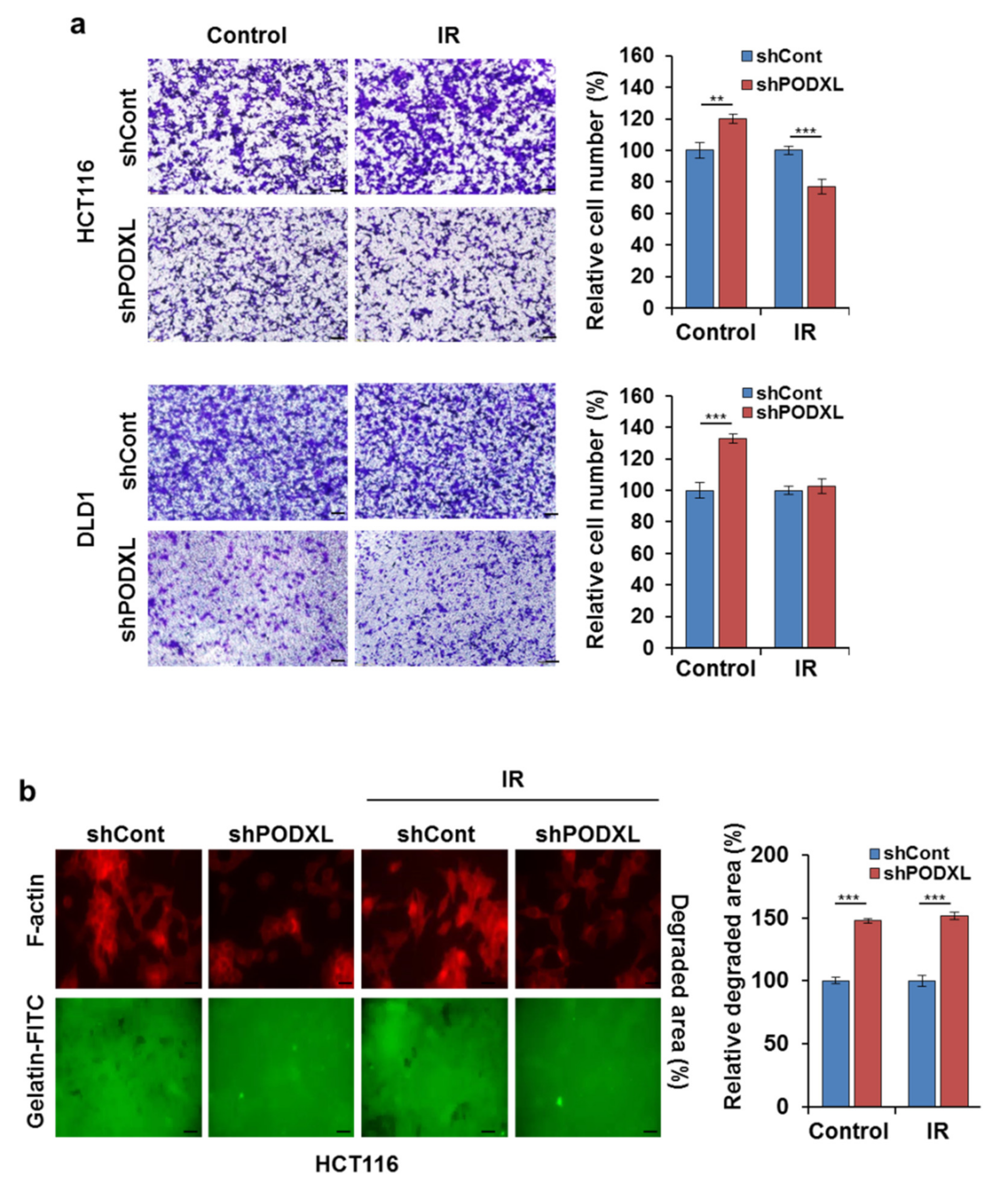 Cells 10 02087 g005a Cells 10 02087 g005a