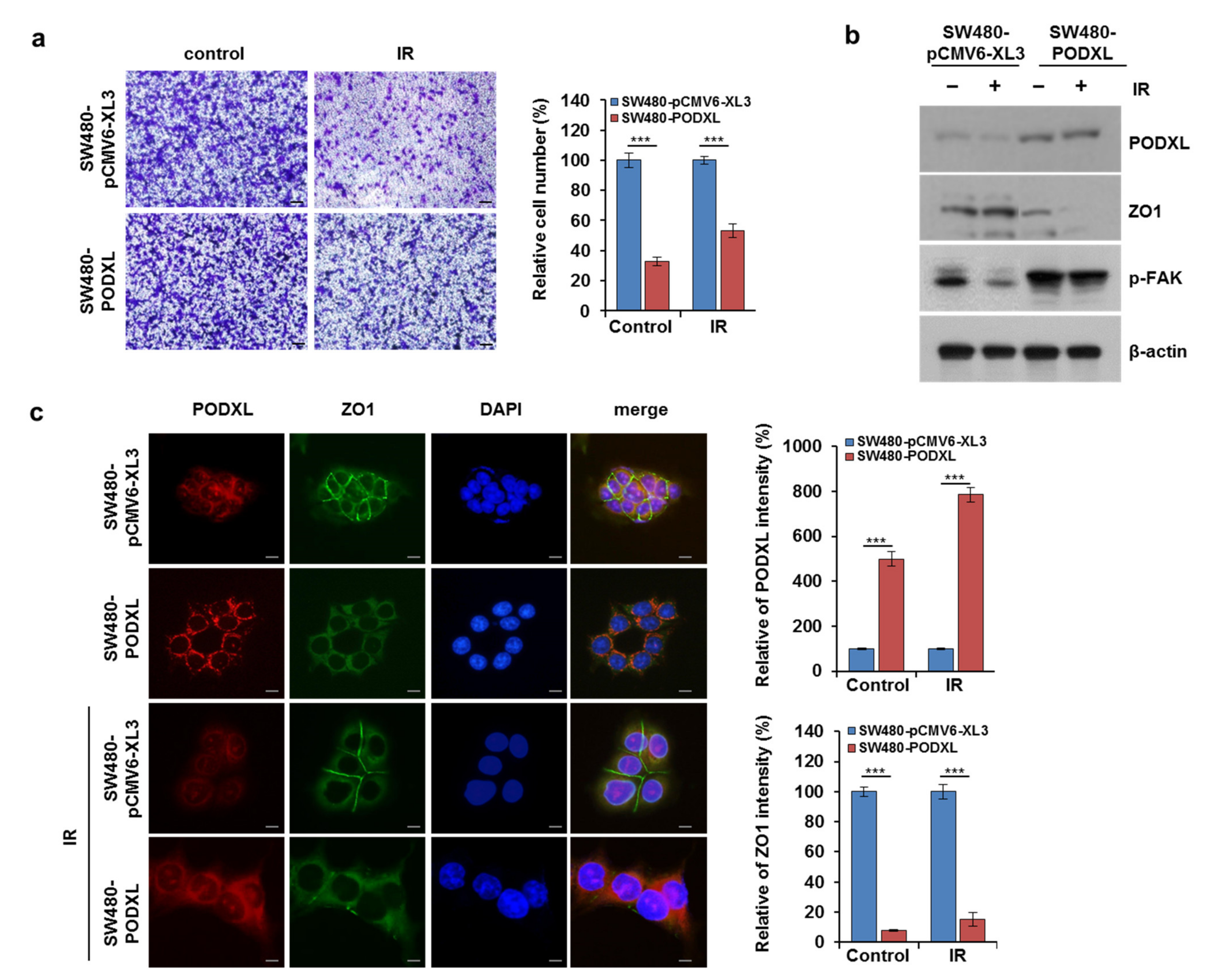 Cells 10 02087 g006 Cells 10 02087 g006