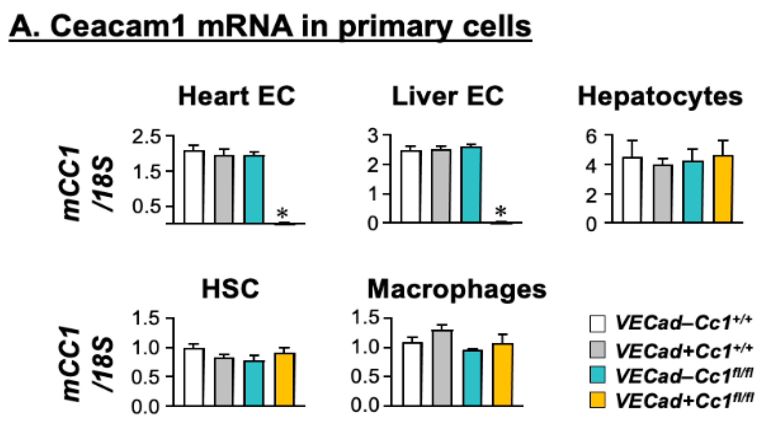 Cells 10 02093 g001a Cells 10 02093 g001a
