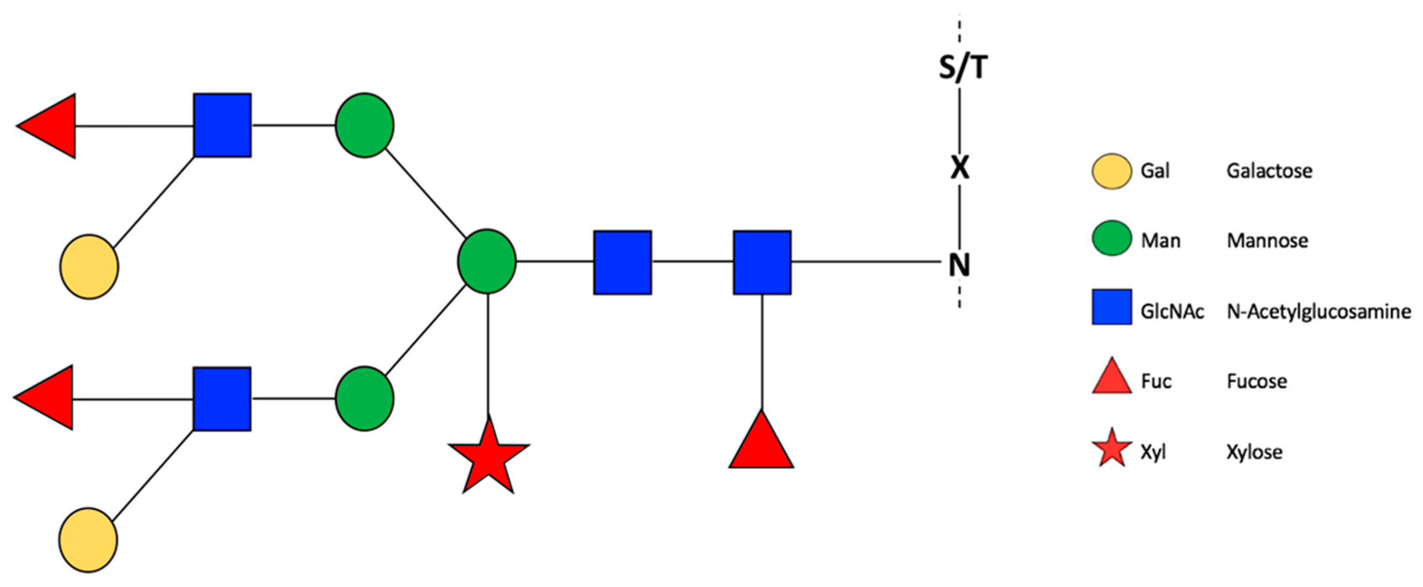 Cells 10 02095 g001 Cells 10 02095 g001