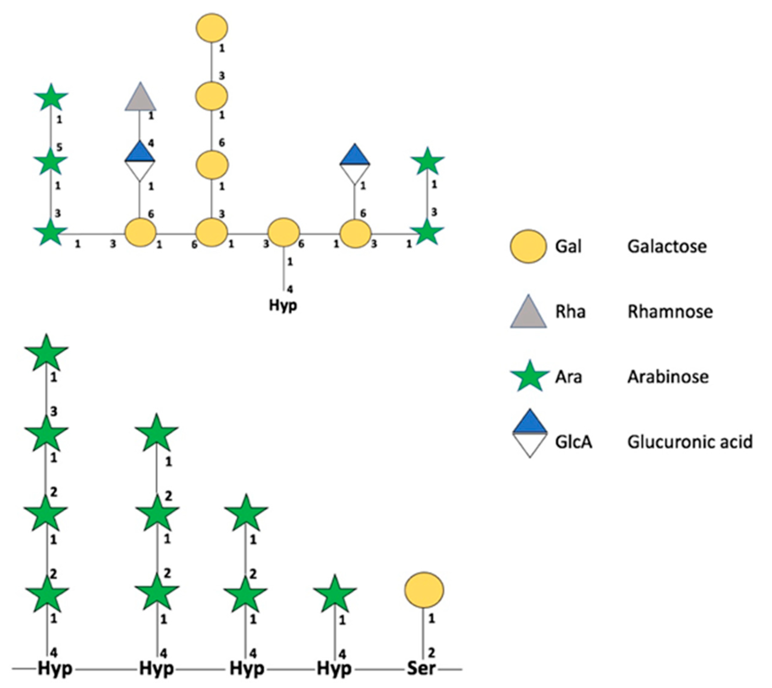 Cells 10 02095 g003 Cells 10 02095 g003