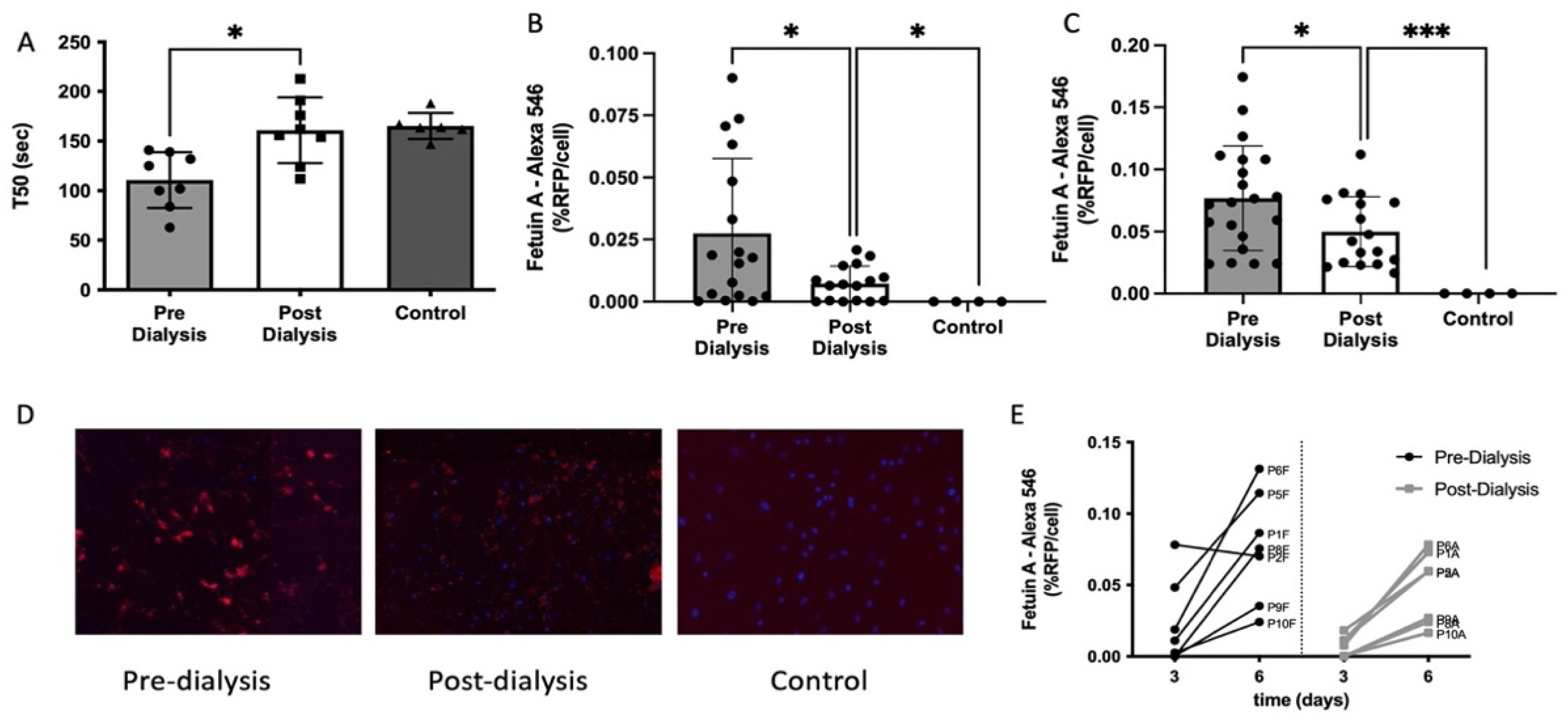 Cells 10 02097 g002 Cells 10 02097 g002
