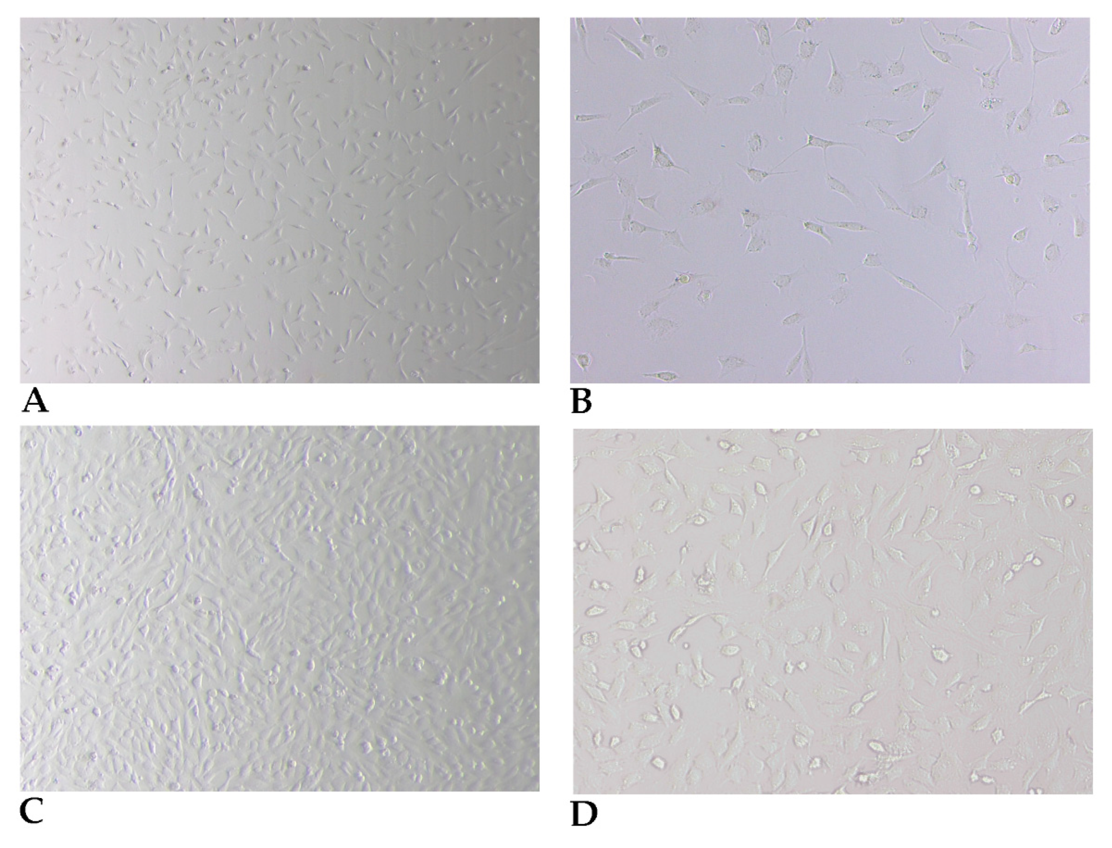 Cells 10 02100 g003 Cells 10 02100 g003