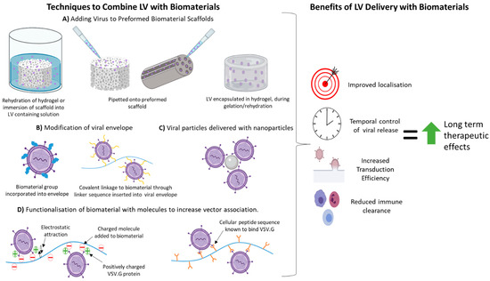 Cells 10 02102 g001 550